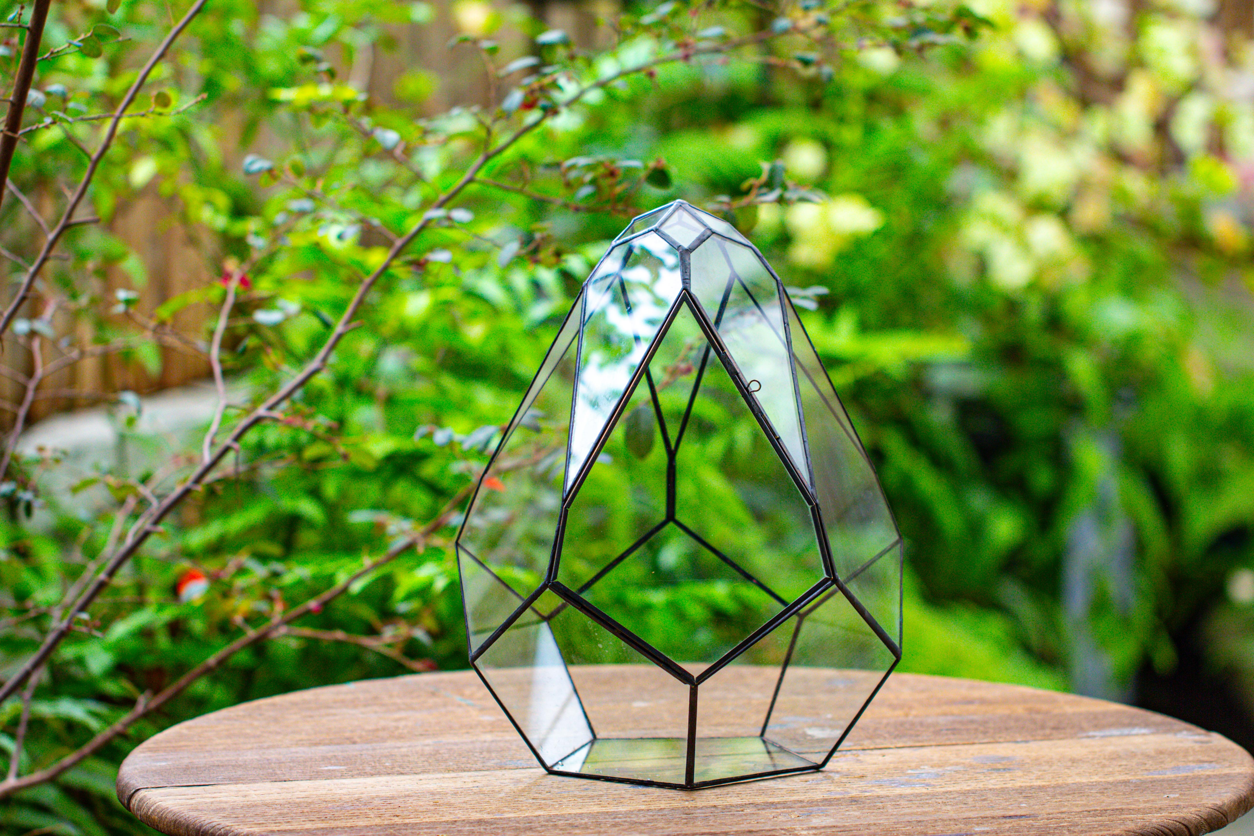 Propagation Station 13" Large Teardrop Geometric Terrarium, Close, with door - NCYPgarden