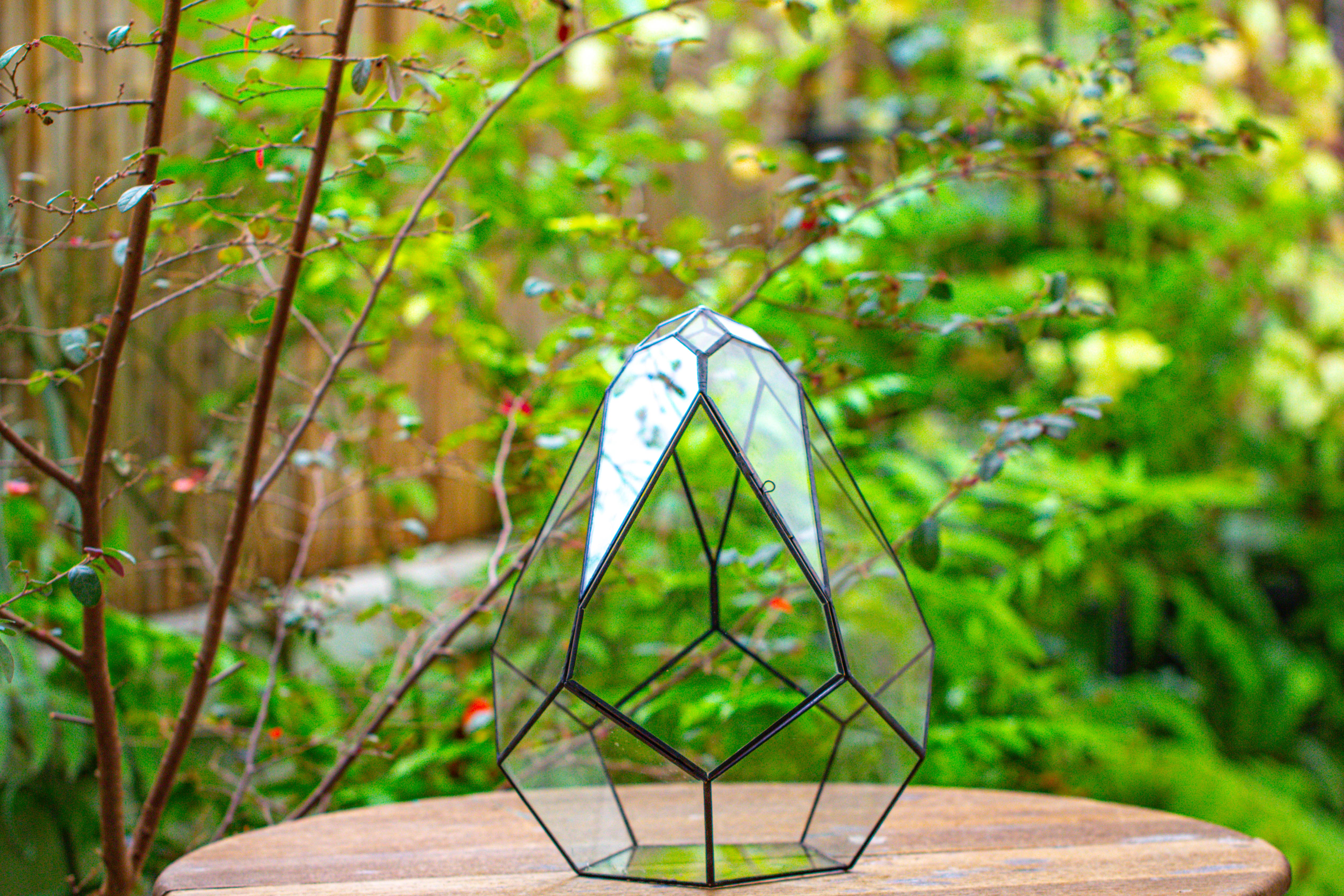 Propagation Station 13" Large Teardrop Geometric Terrarium, Close, with door - NCYPgarden