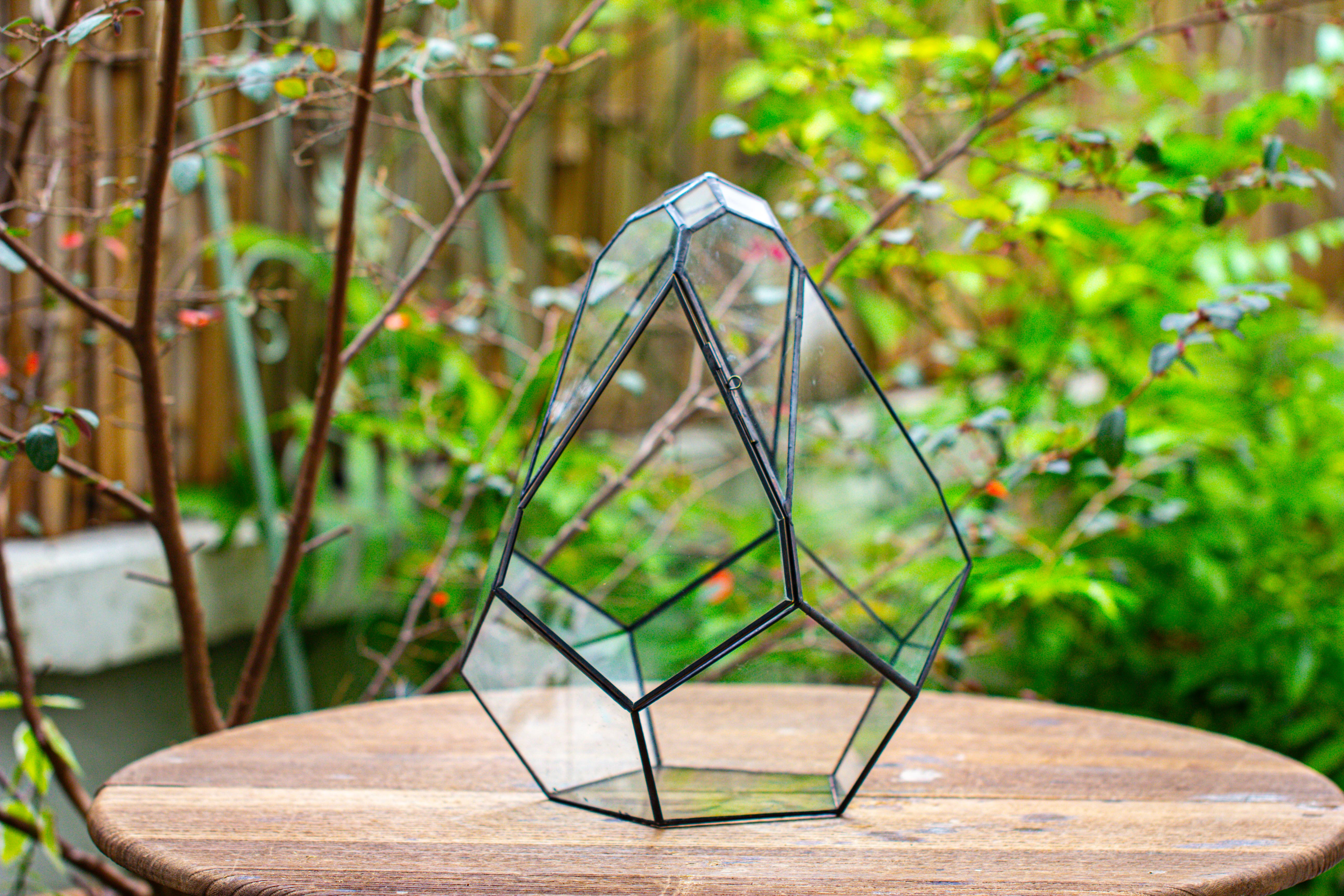 Propagation Station 13" Large Teardrop Geometric Terrarium, Close, with door - NCYPgarden