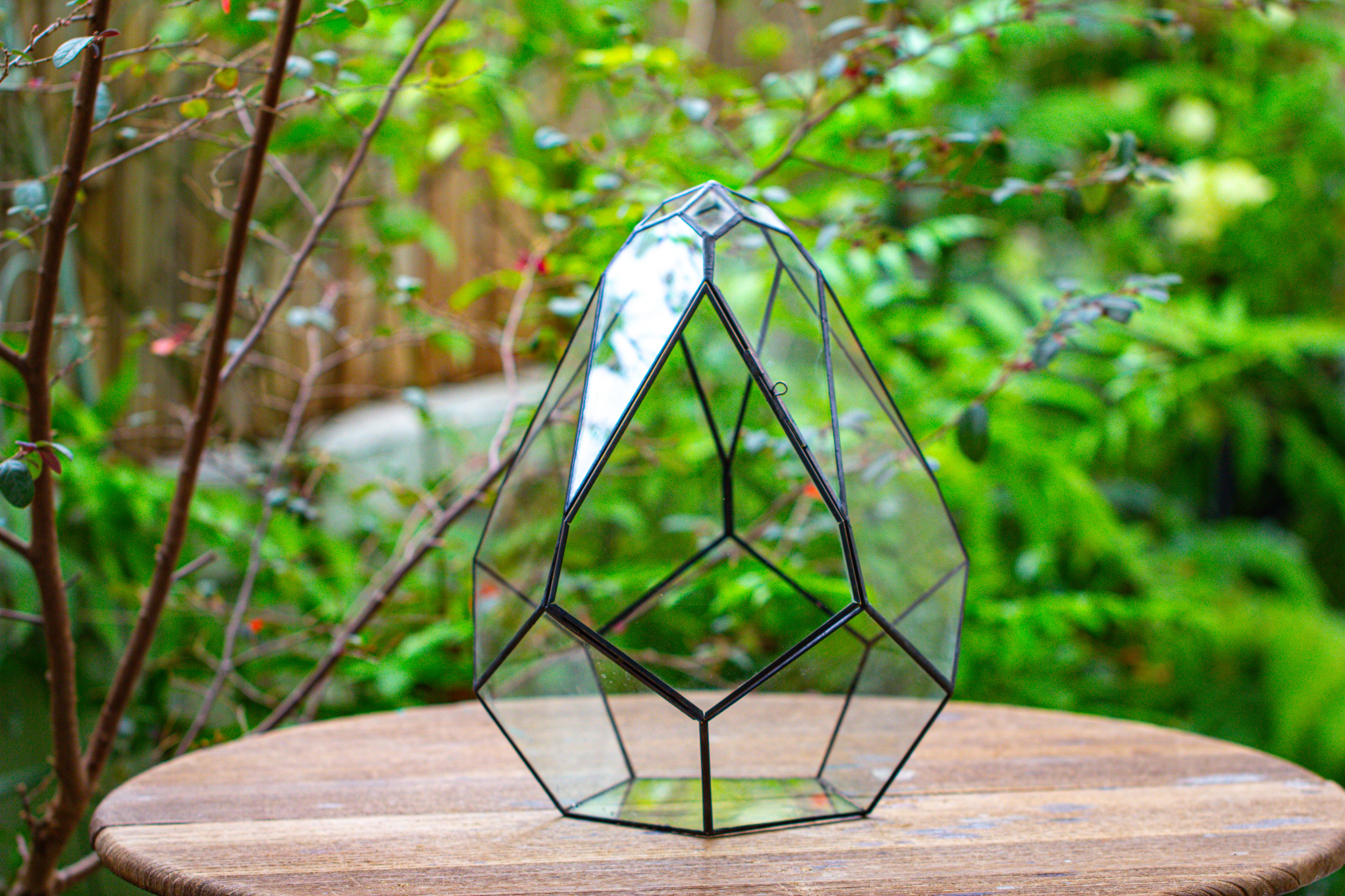 Propagation Station 13" Large Teardrop Geometric Terrarium, Close, with door - NCYPgarden
