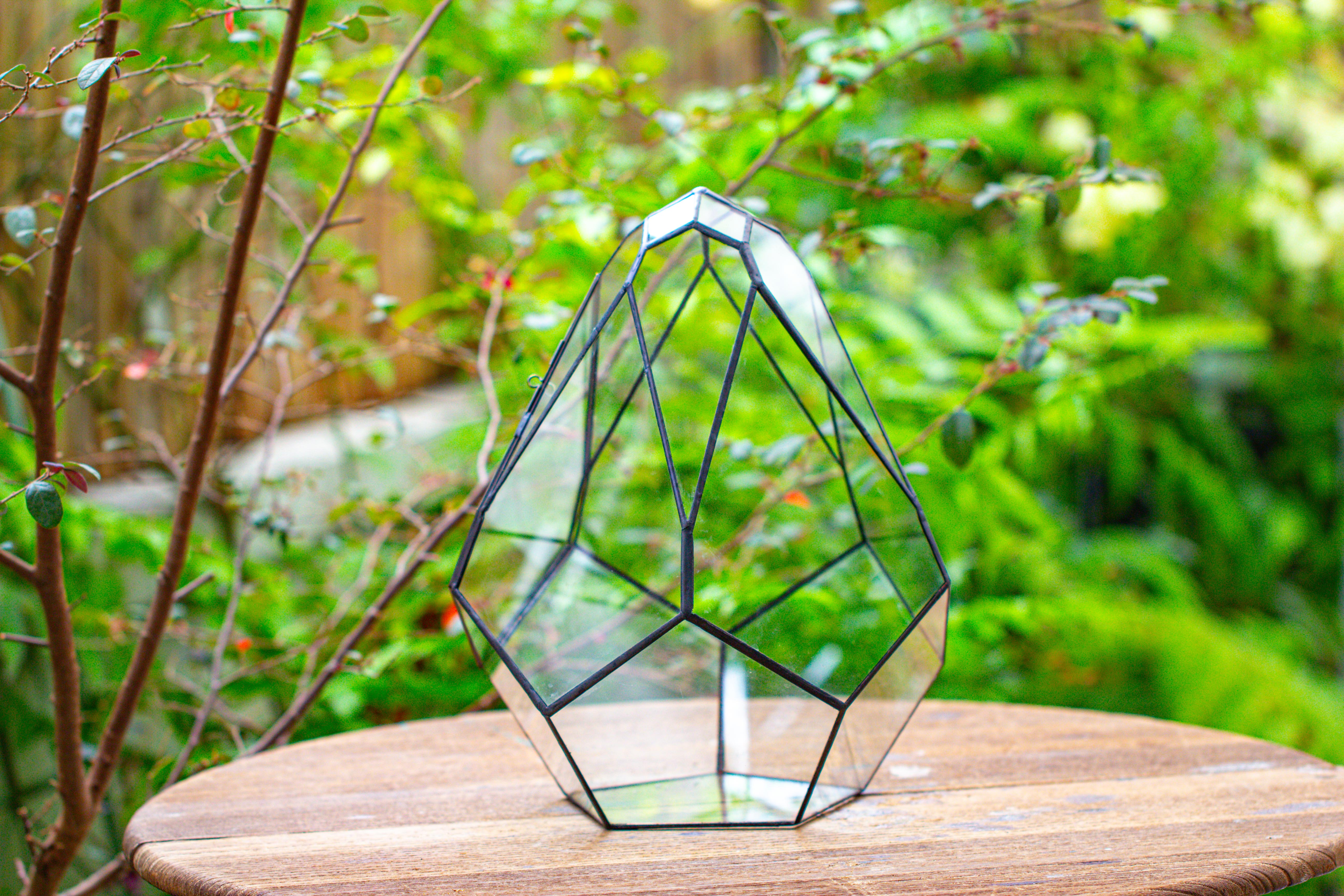 Propagation Station 13" Large Teardrop Geometric Terrarium, Close, with door - NCYPgarden