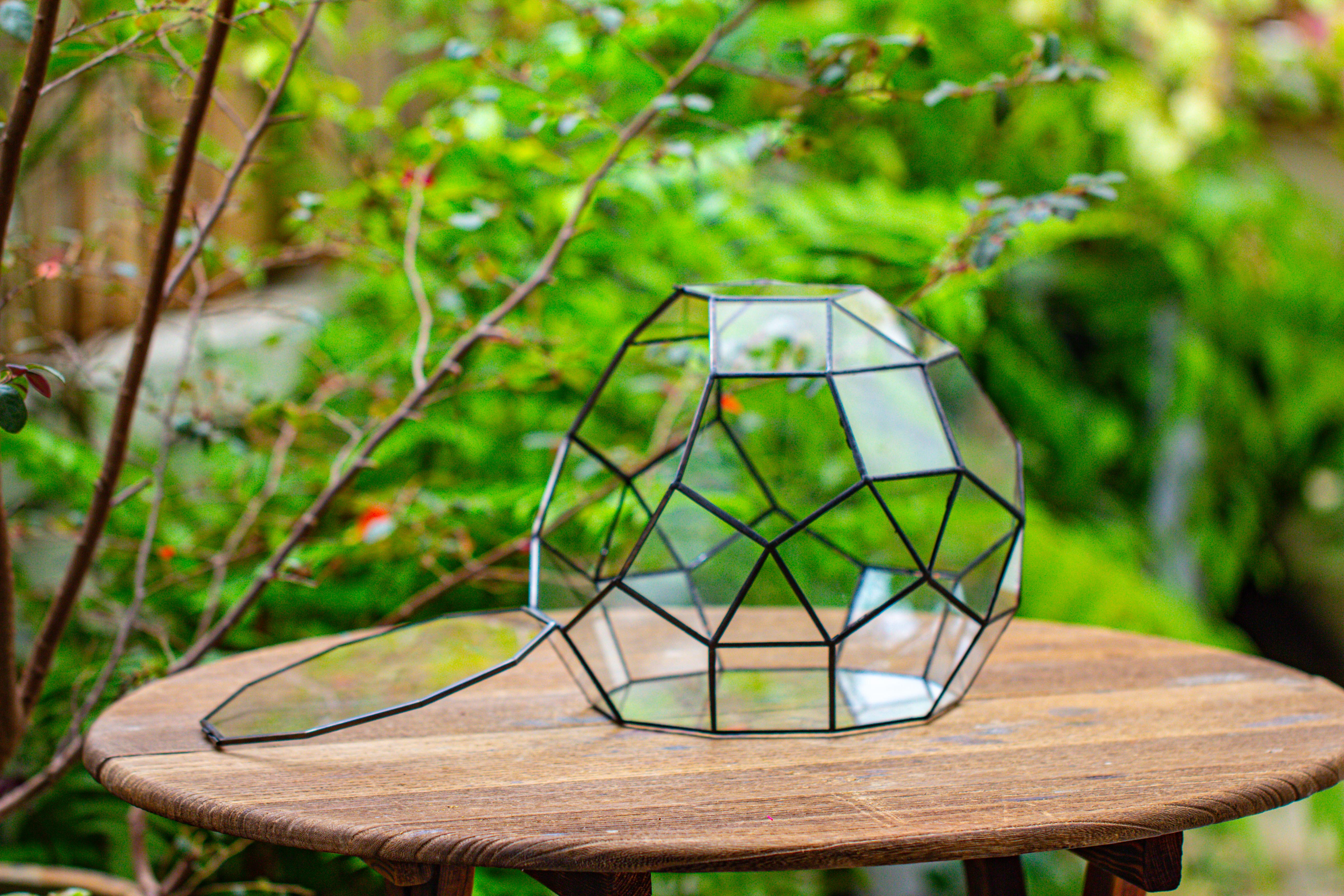 Propagation Station Glass Geometric Moon Terrarium,  Close, with door - NCYPgarden