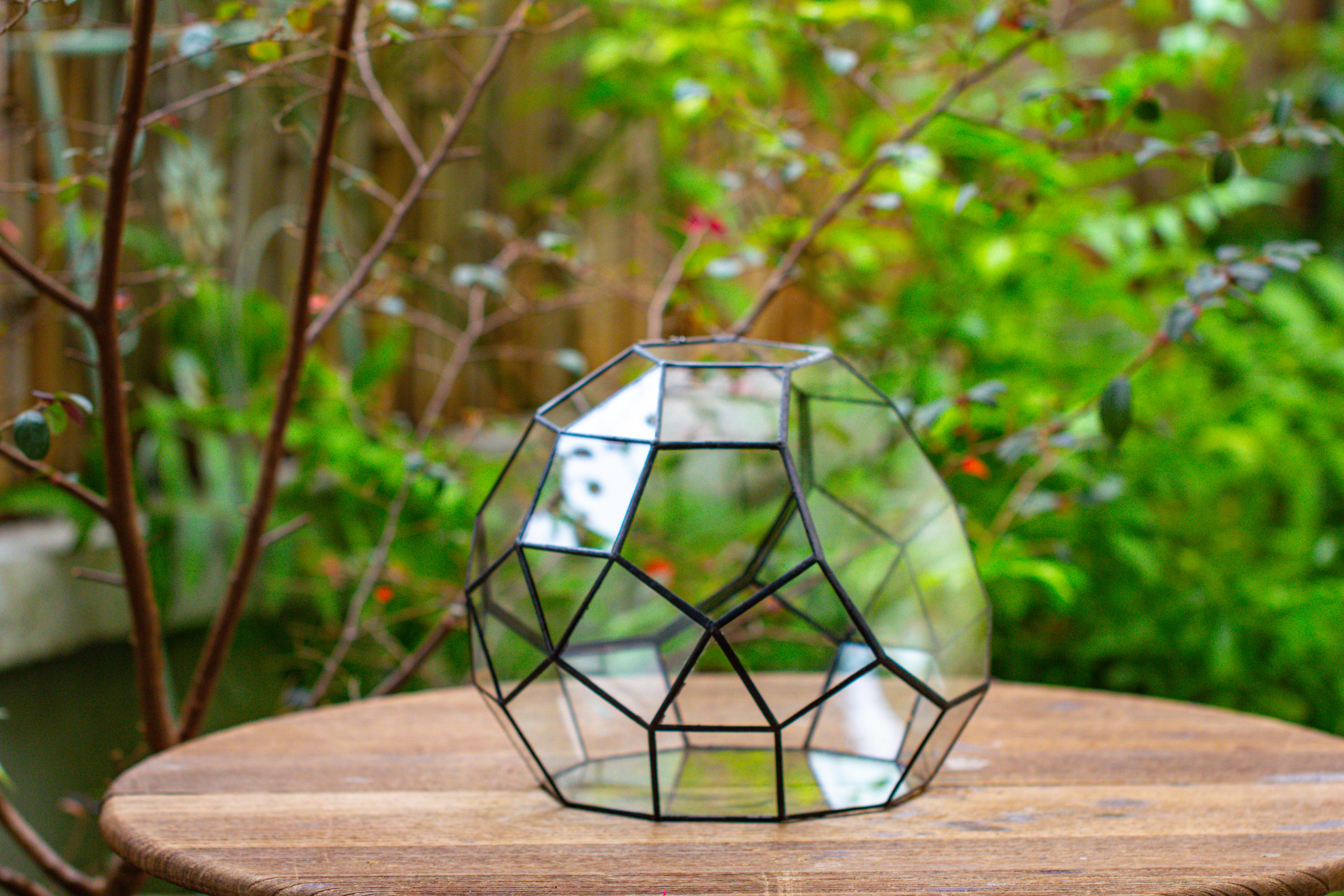 Propagation Station Glass Geometric Moon Terrarium,  Close, with door - NCYPgarden