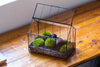 Vintge Greenhouse inspired tin and glass geometric terrarium Terarium, Close, for moss, fern, shade plants, micro landscape - NCYPgarden