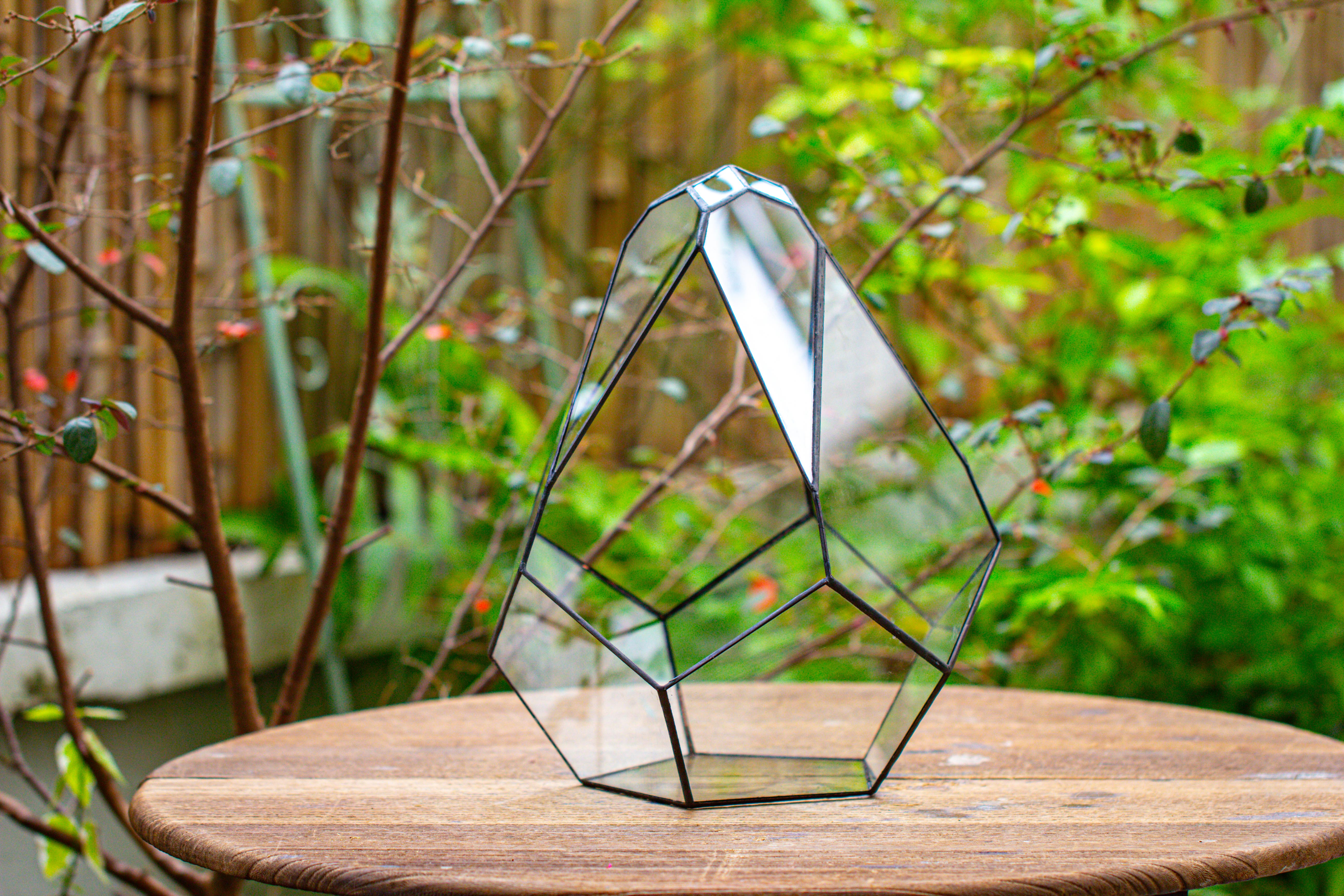 13" Large Teardrop Geometric Terrarium, Open - NCYPgarden