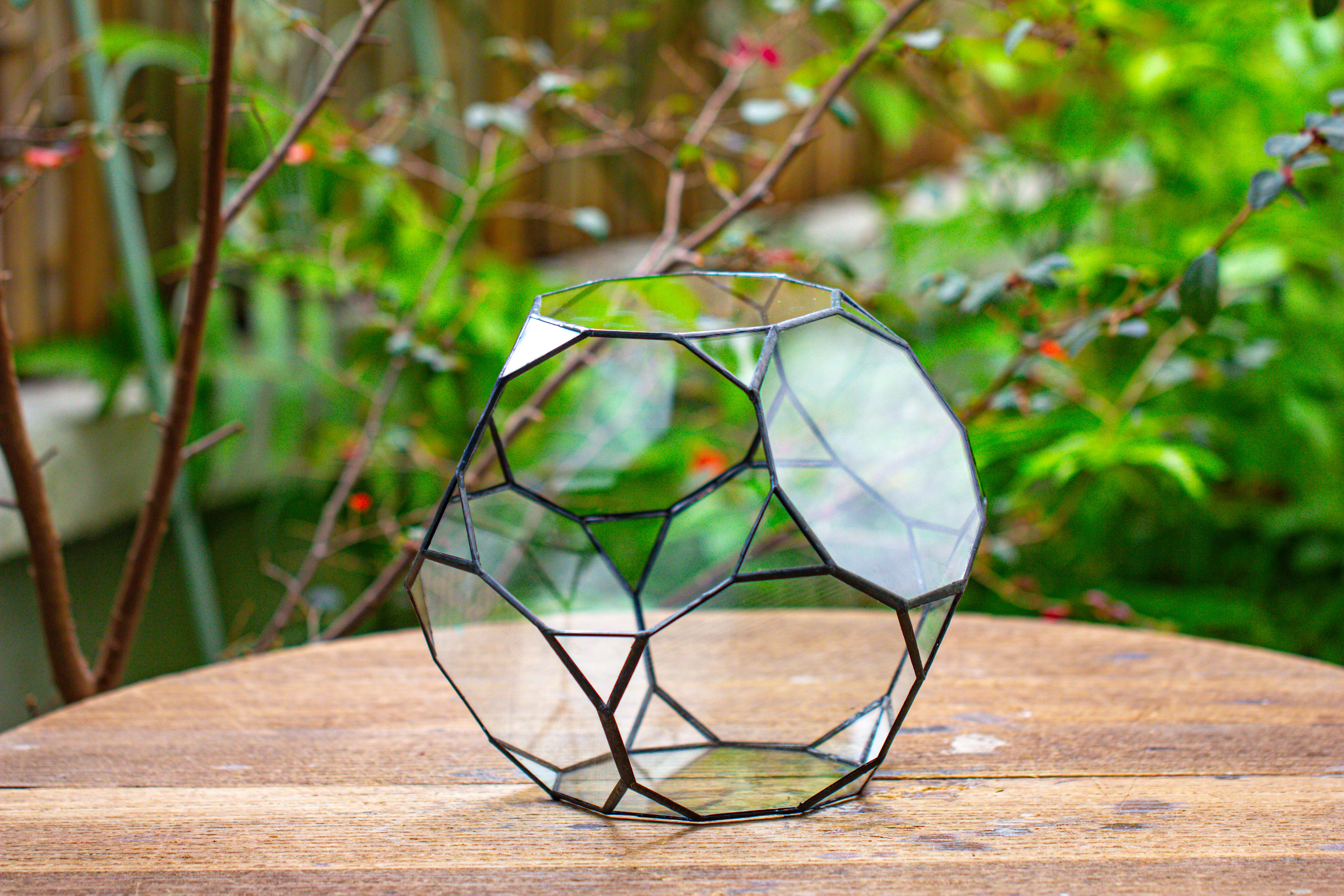 Glass Geometric Terrarium, 32 face , Open, Truncated Dodecahedron - NCYPgarden
