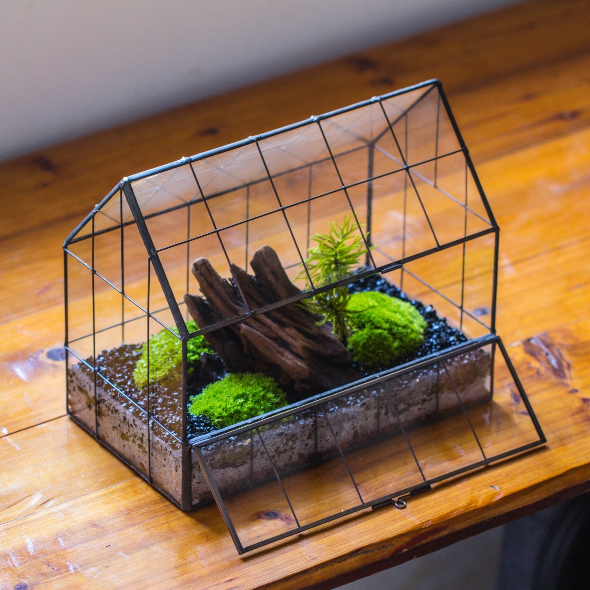 NCYP handmade geometric terrarium, float frame, centerpiece urns ...