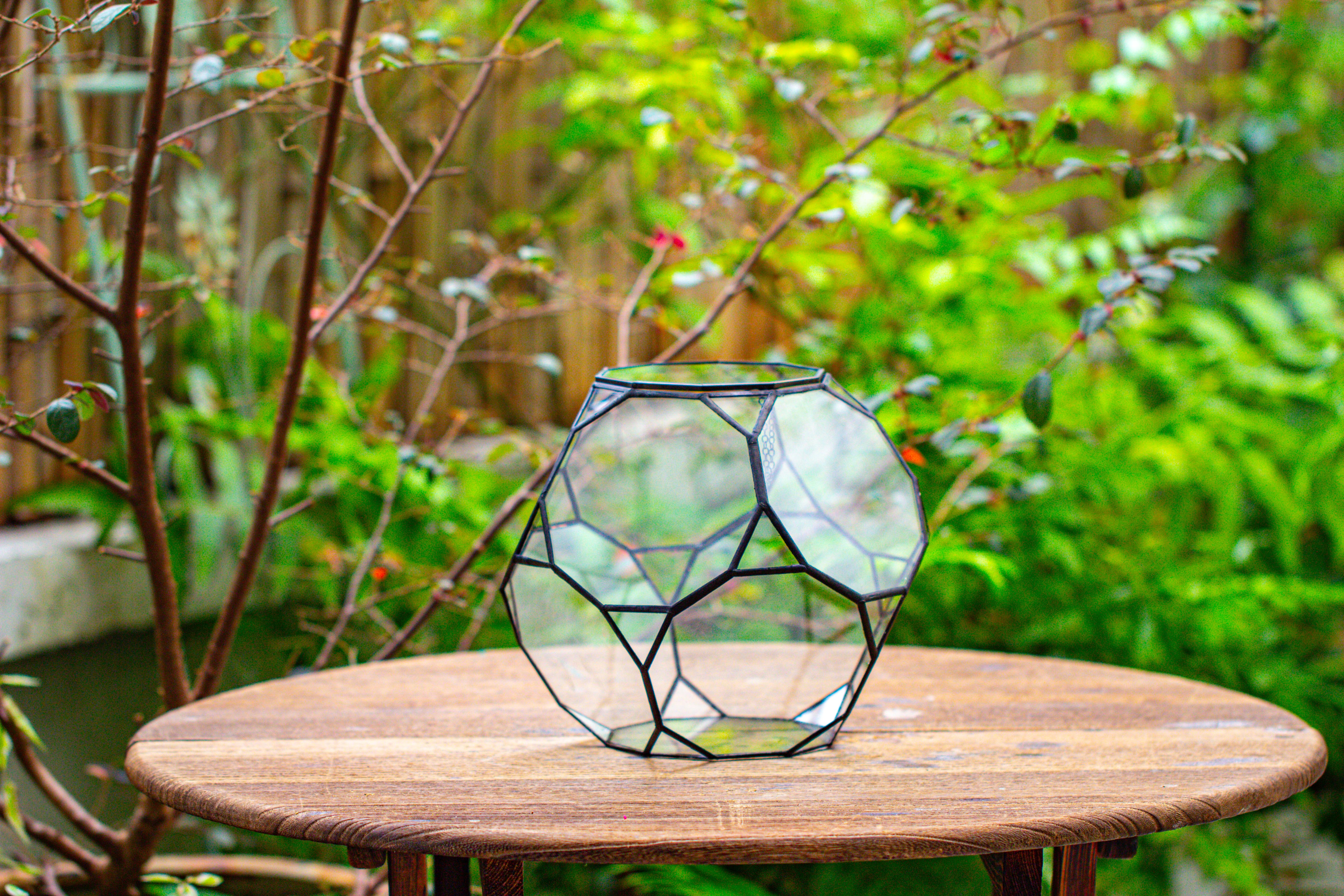 Propagation Station Glass Geometric Terrarium, 32 face , Close, with door, Truncated Dodecahedron - NCYPgarden