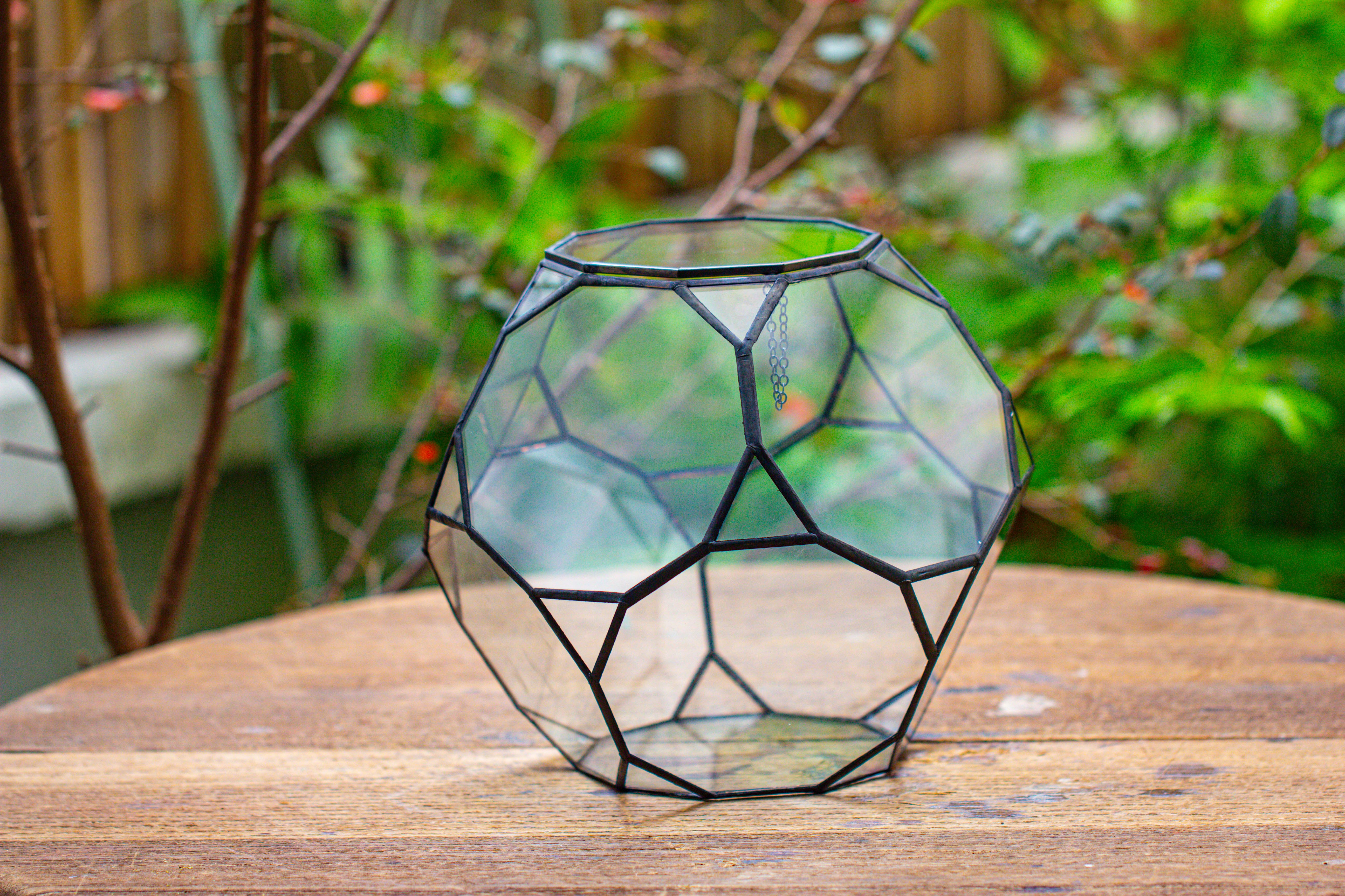 Propagation Station Glass Geometric Terrarium, 32 face , Close, with door, Truncated Dodecahedron - NCYPgarden