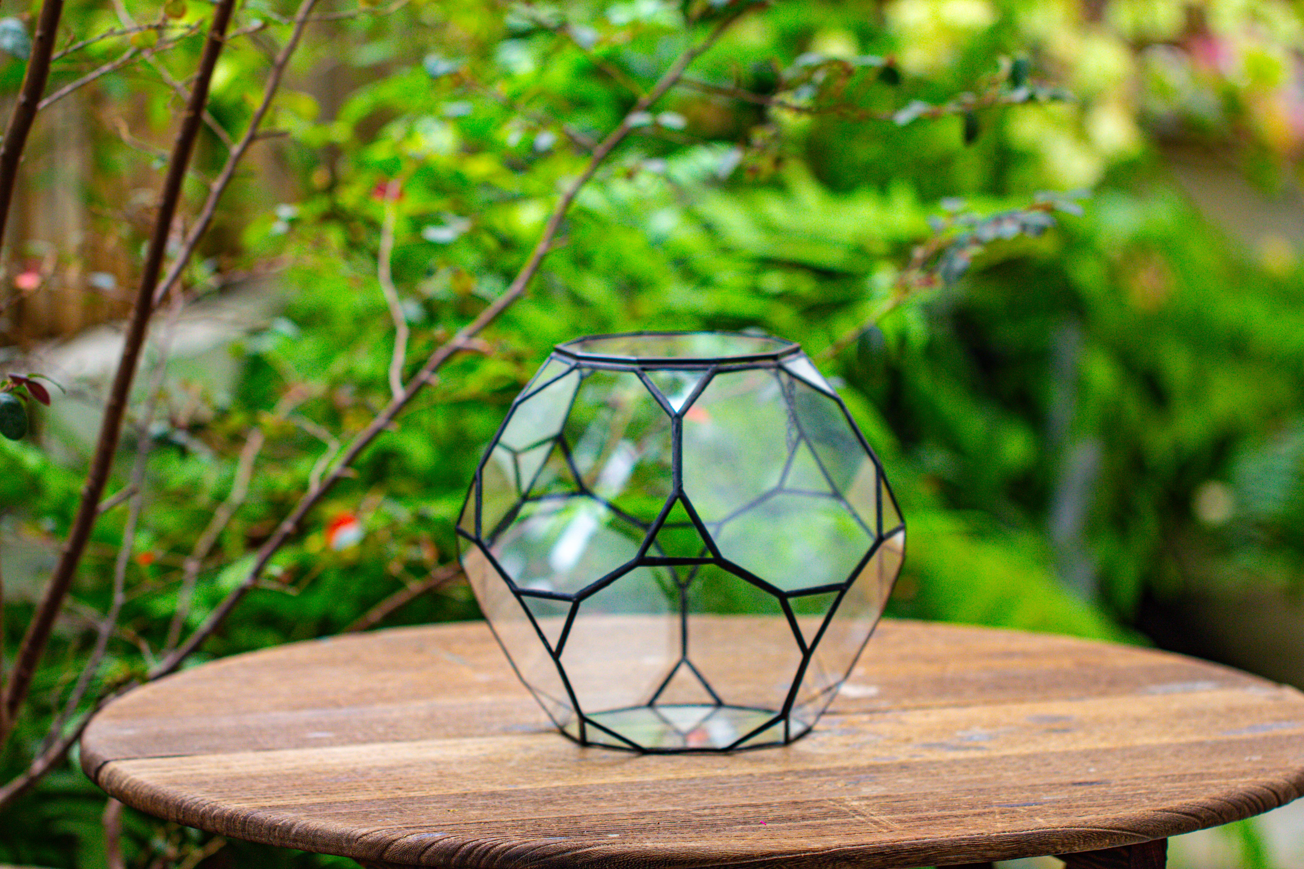 Propagation Station Glass Geometric Terrarium, 32 face , Close, with door, Truncated Dodecahedron - NCYPgarden