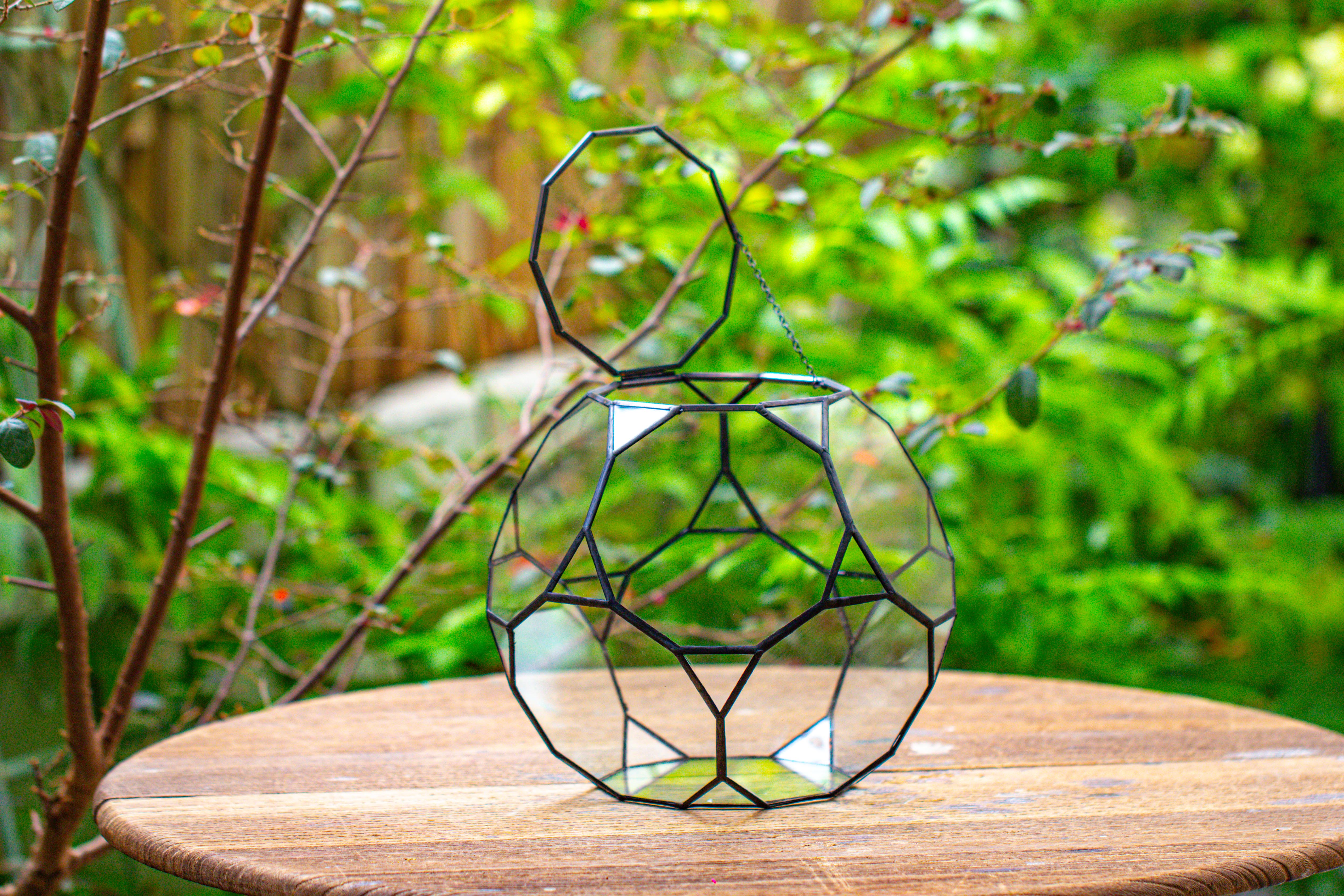Propagation Station Glass Geometric Terrarium, 32 face , Close, with door, Truncated Dodecahedron - NCYPgarden