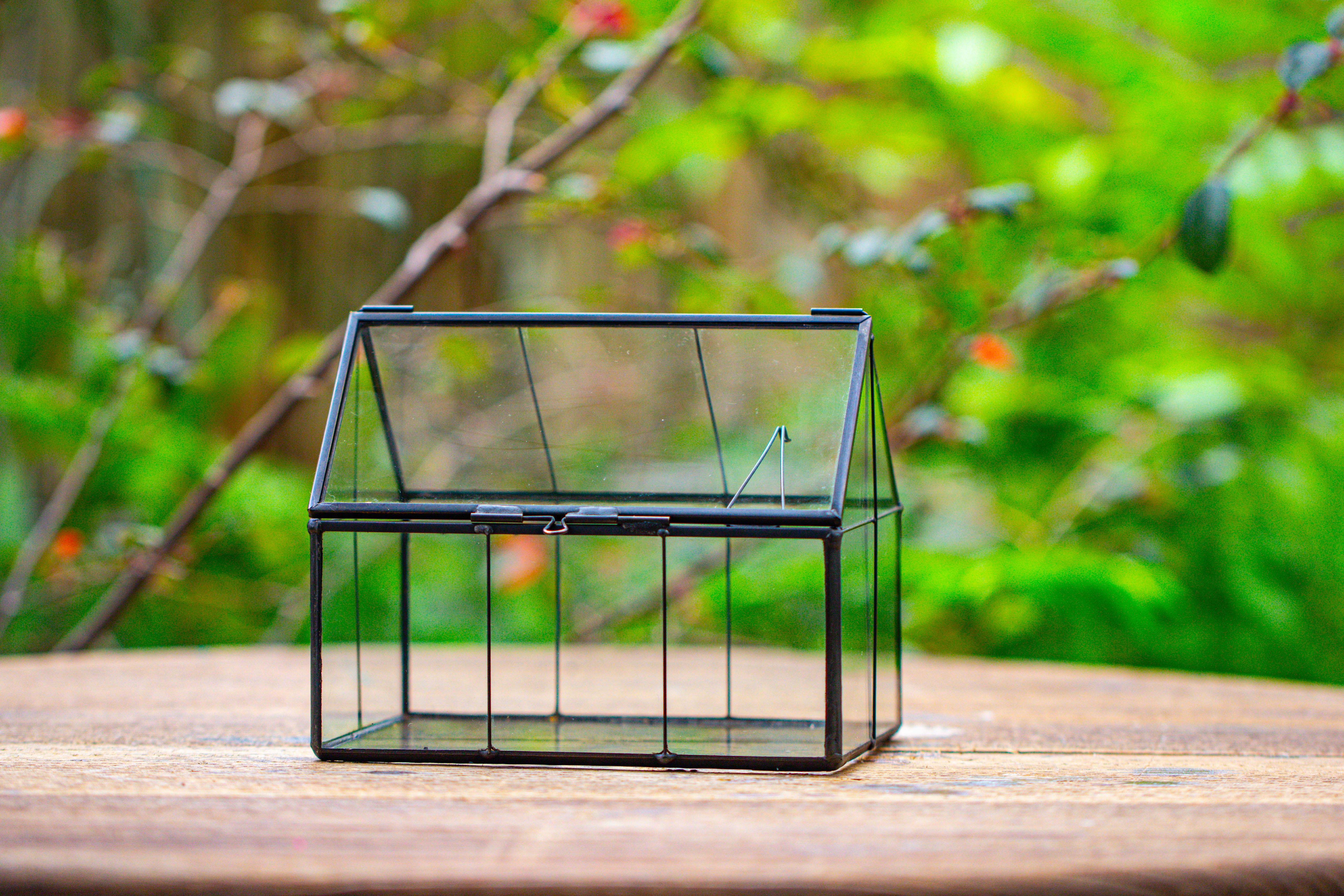 NCYP Mini Glass Terrarium with Lid House Shape Closed Planter Pot for Small Cactus, Succulents Plant - NCYPgarden