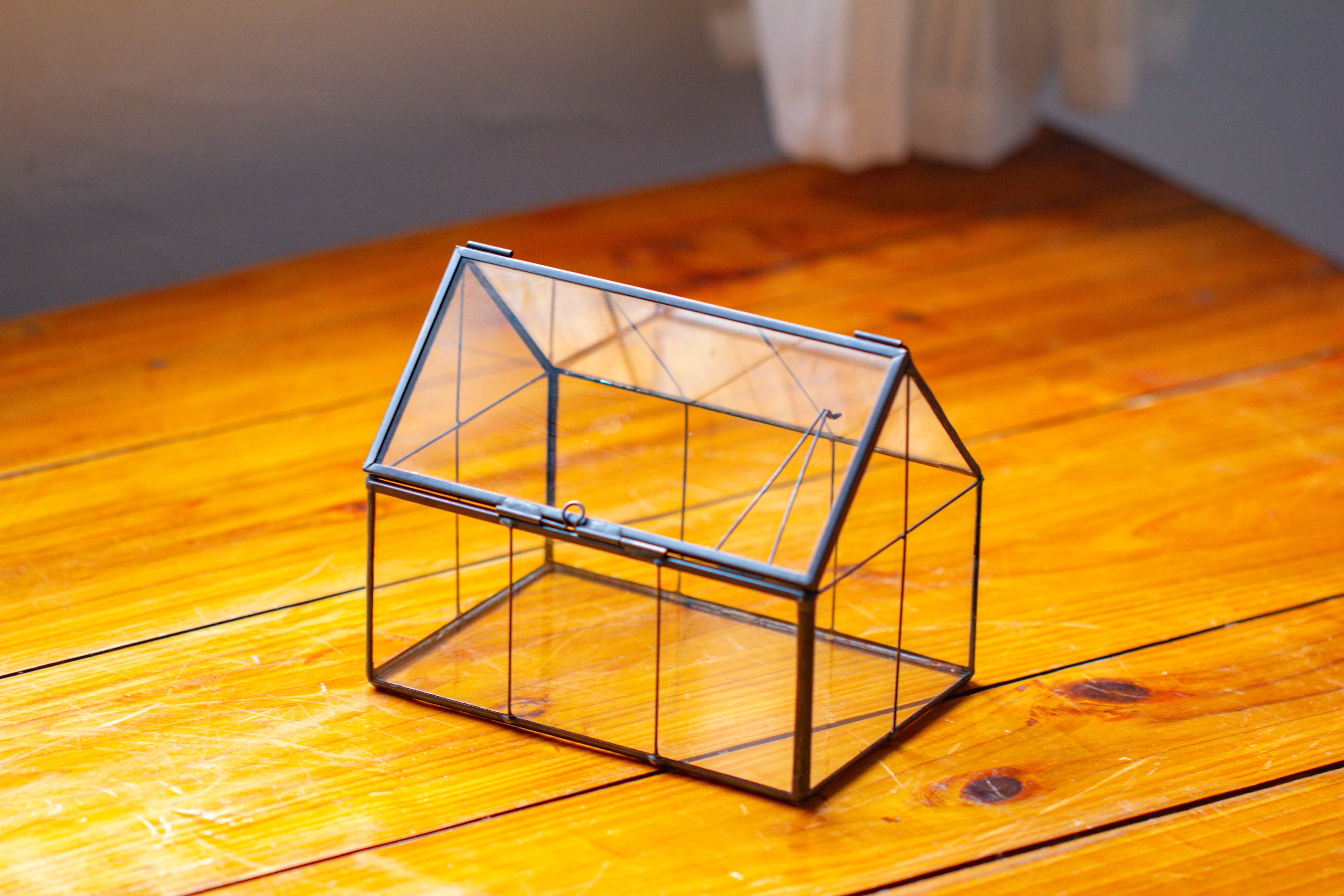 NCYP Mini Glass Terrarium with Lid House Shape Closed Planter Pot for Small Cactus, Succulents Plant - NCYPgarden