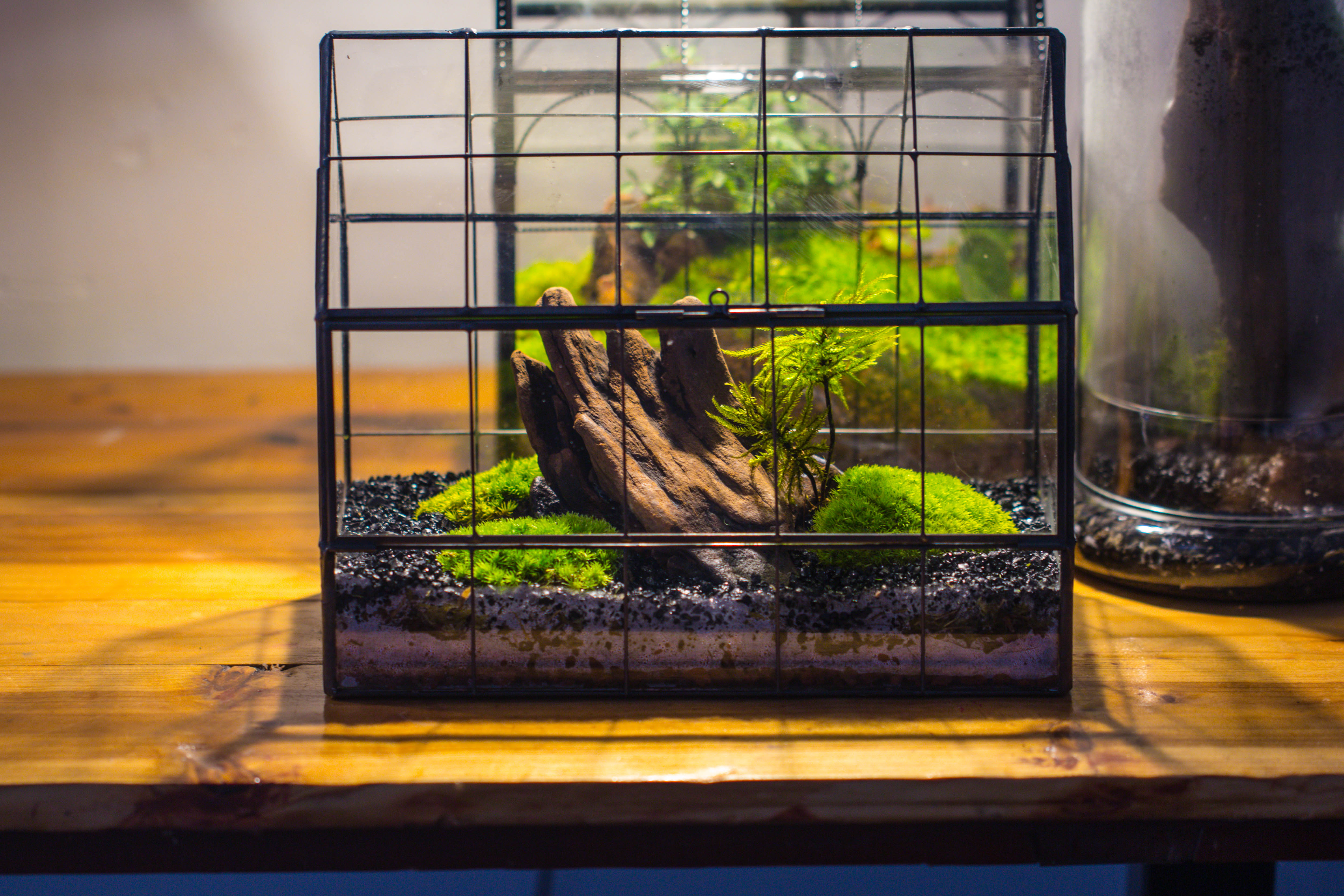 Handmade Glass Terrarium with LED Grow Light Set, Side Door Closed Geometric GreenHouse with Base and Light Set - NCYPgarden