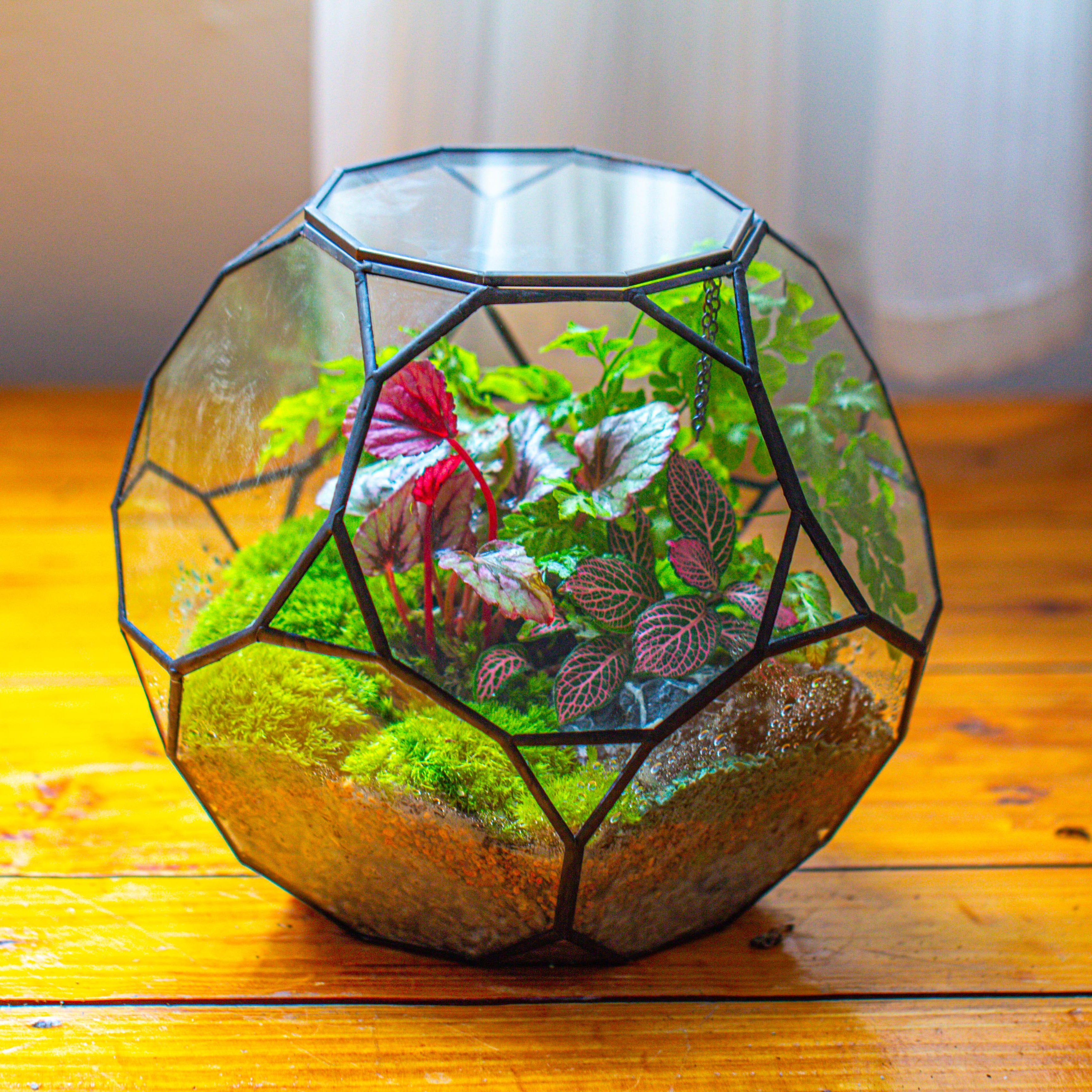 Propagation Station Glass Geometric Terrarium, 32 face , Close, with door, Truncated Dodecahedron - NCYPgarden