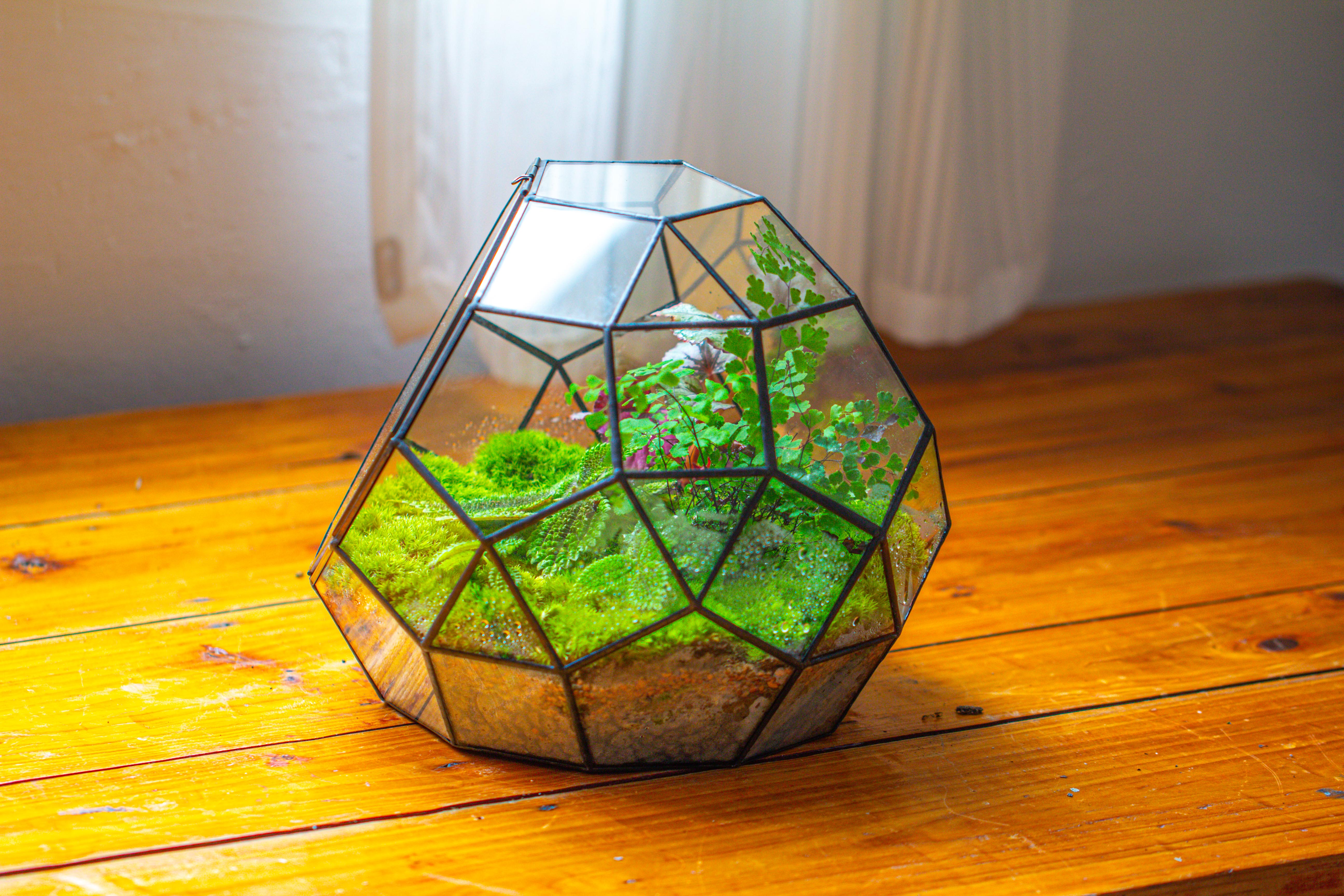 Propagation Station Glass Geometric Moon Terrarium,  Close, with door - NCYPgarden