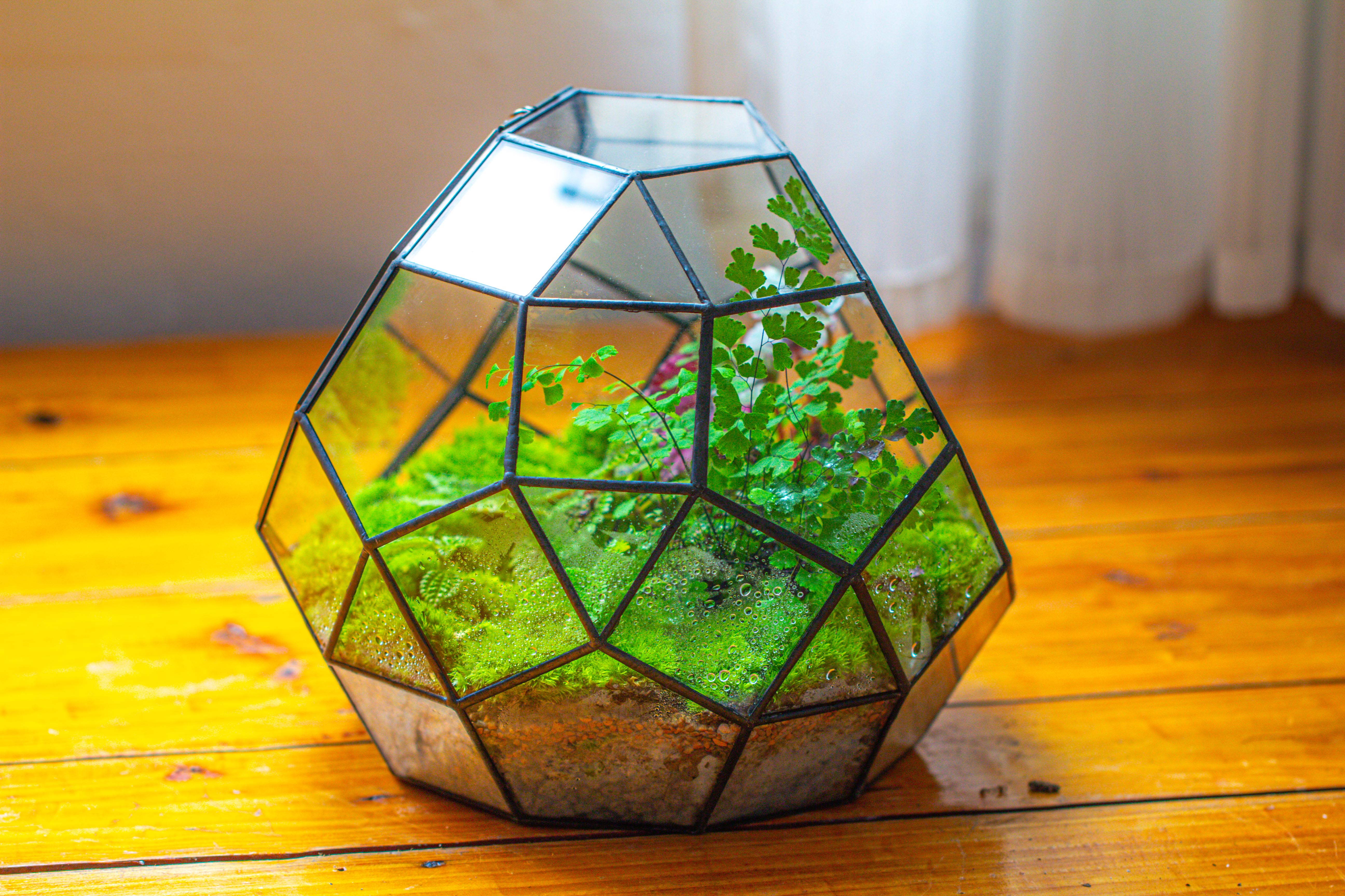Propagation Station Glass Geometric Moon Terrarium,  Close, with door - NCYPgarden