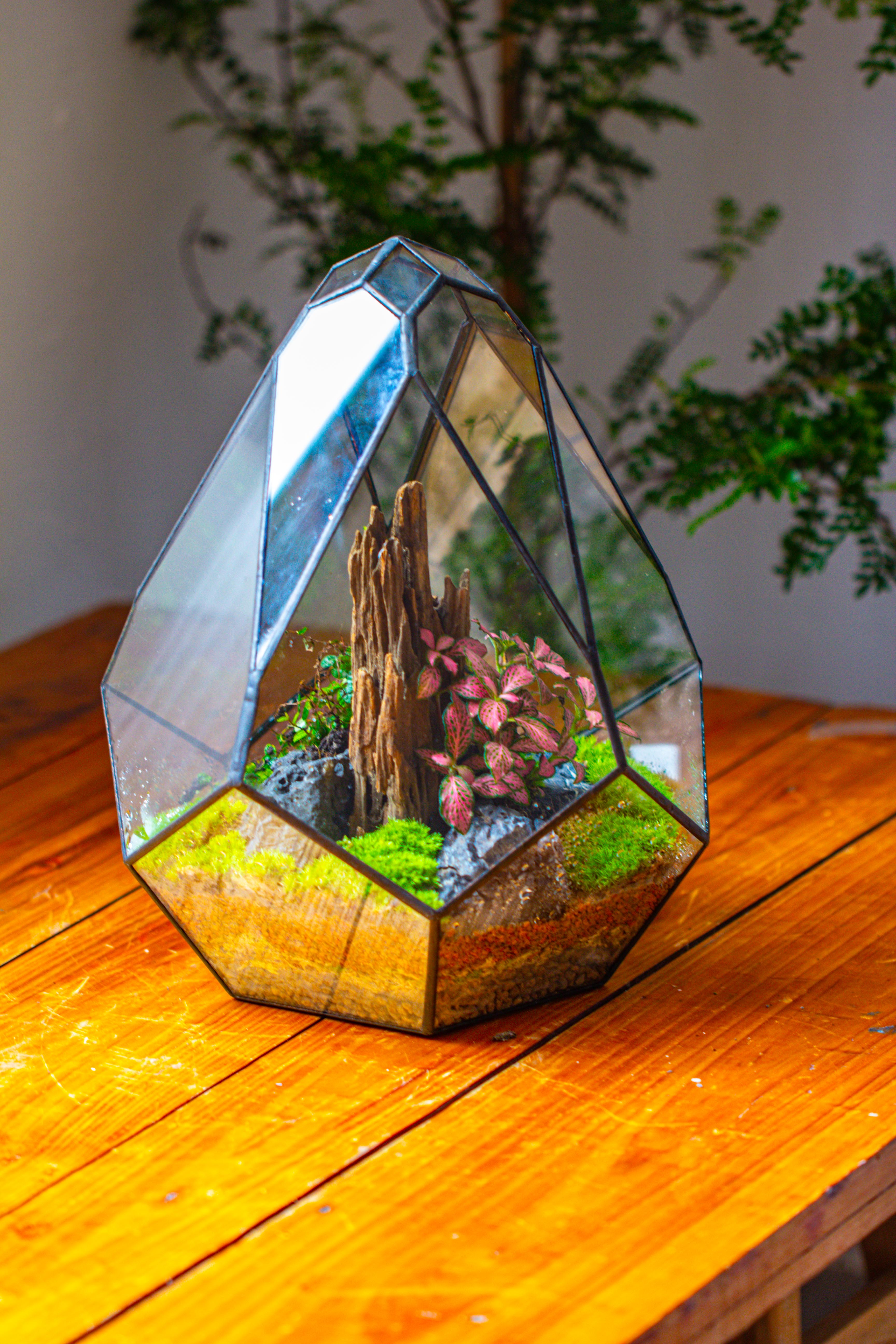 Propagation Station 13" Large Teardrop Geometric Terrarium, Close, with door - NCYPgarden