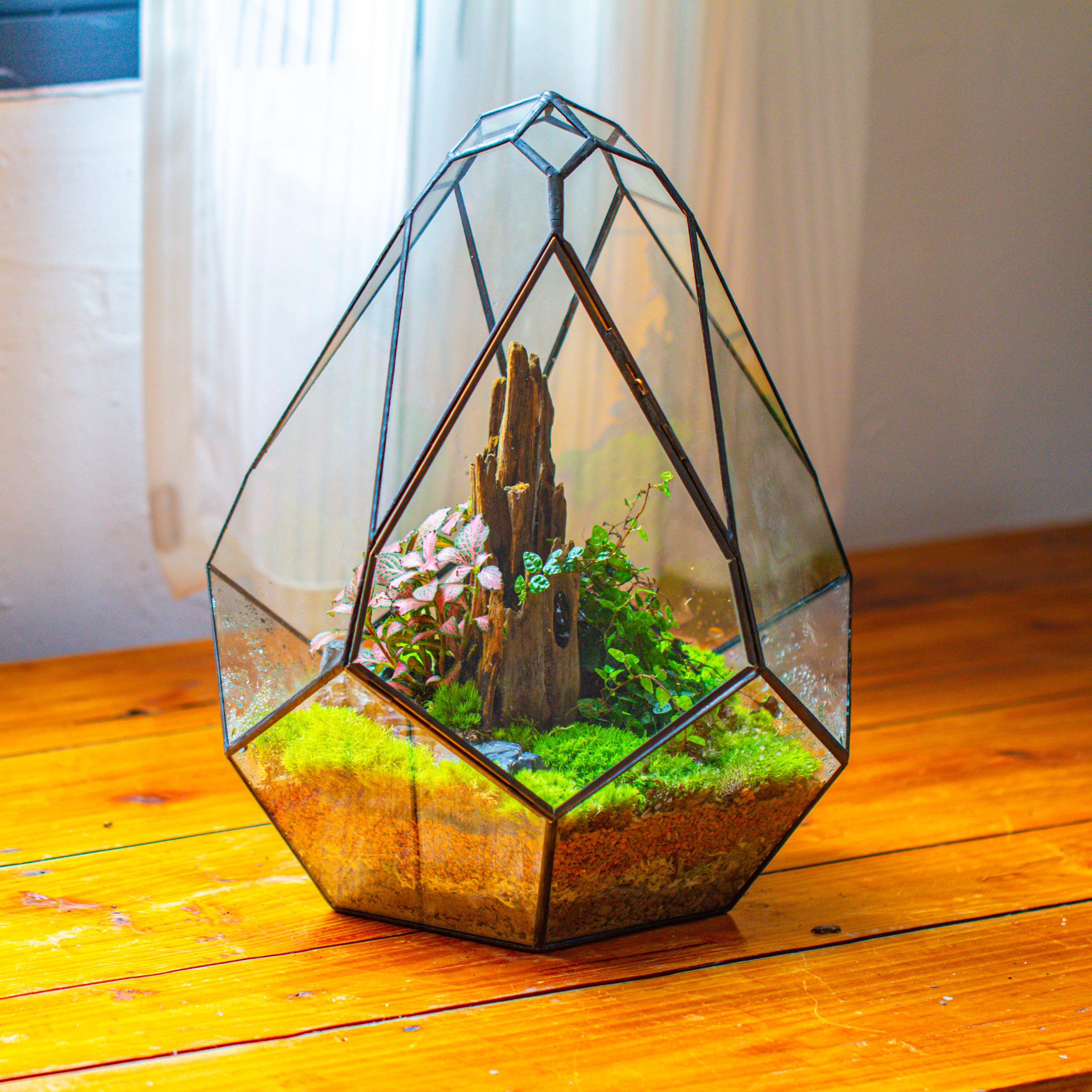 Propagation Station 13" Large Teardrop Geometric Terrarium, Close, with door - NCYPgarden