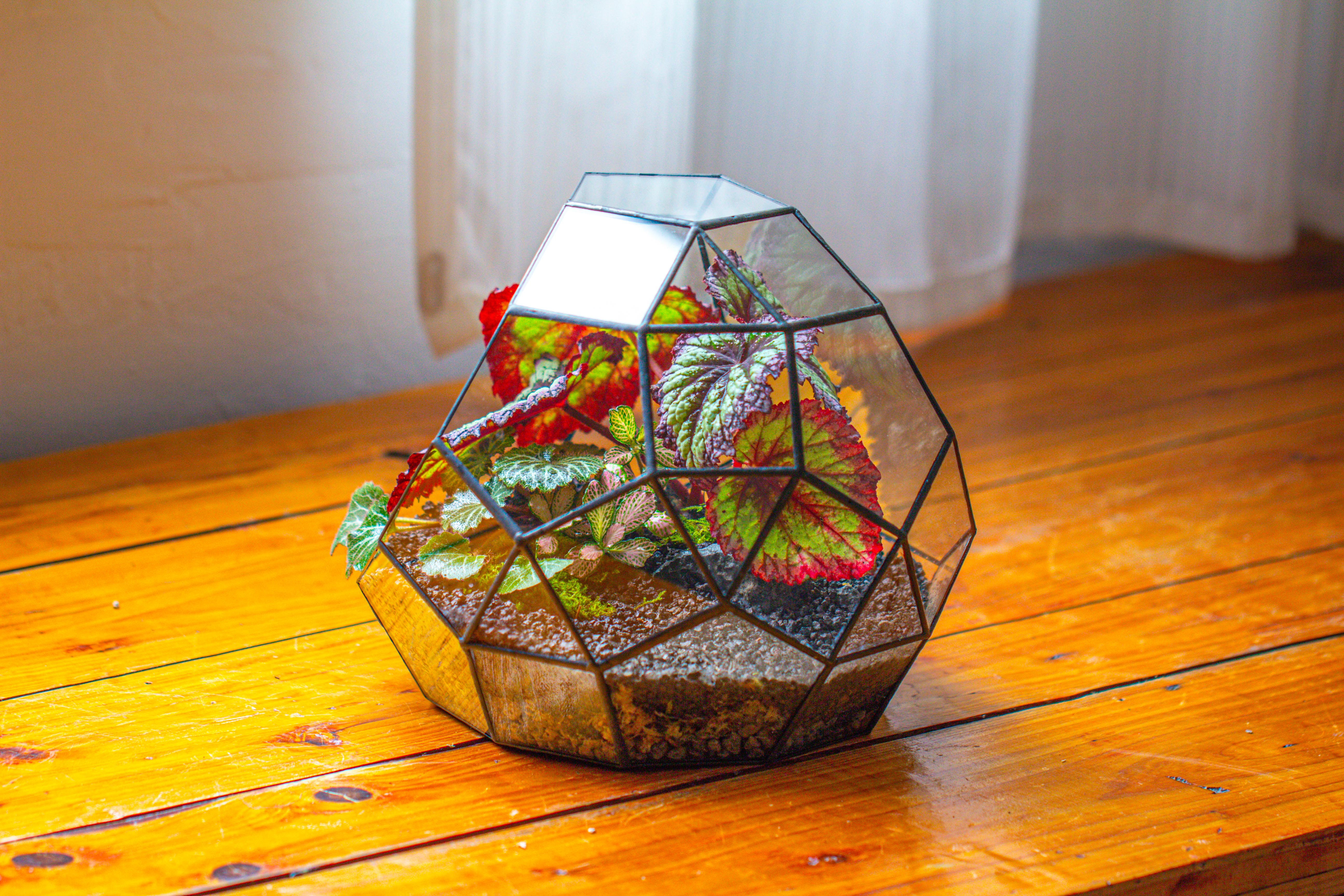 Glass Geometric Moon Terrarium,  Open - NCYPgarden