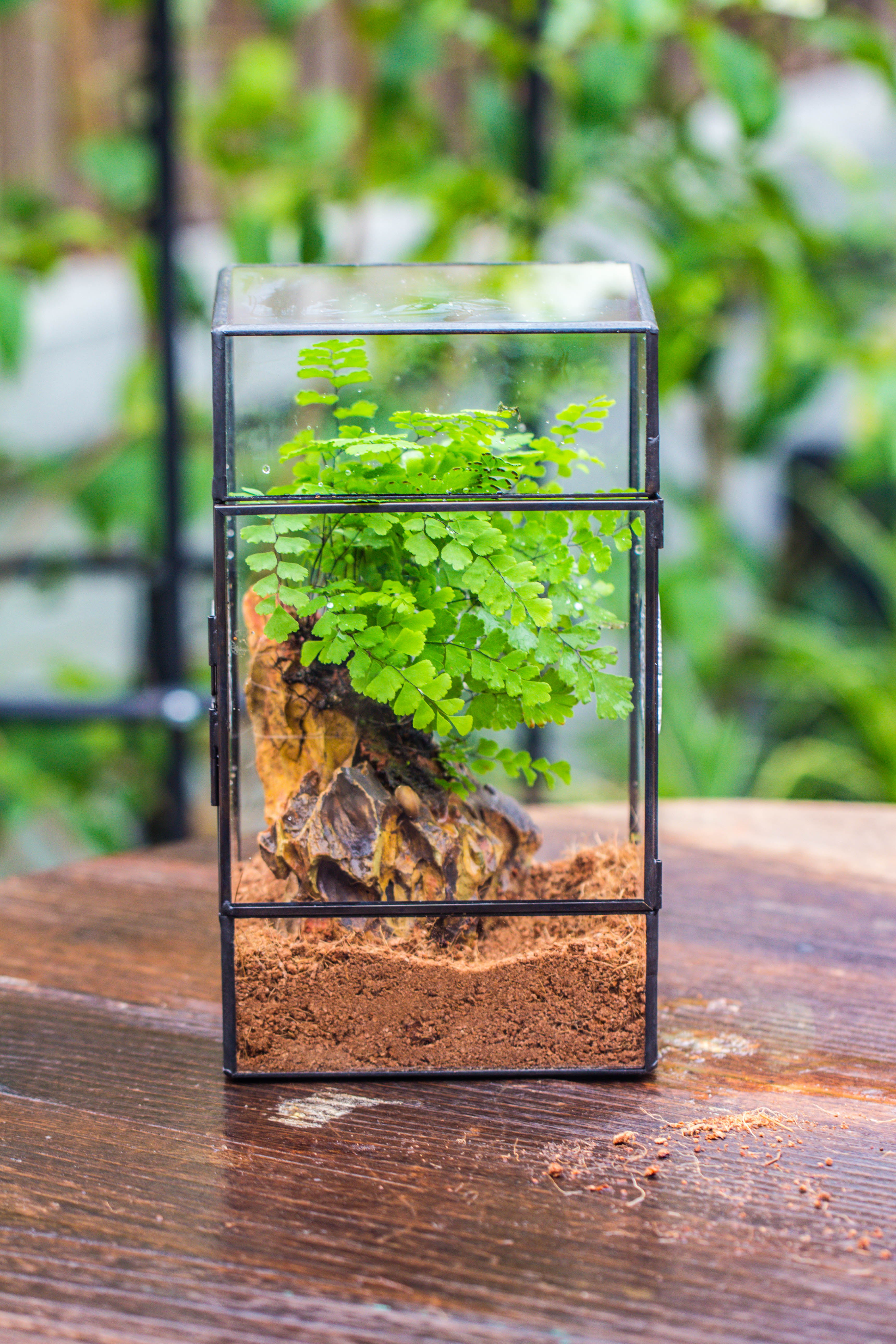 NCYP Rectangle Tin and Glass Geometric Terrarium,  with side door,  with Mesh  / vent holes for small Insects Pet - NCYPgarden