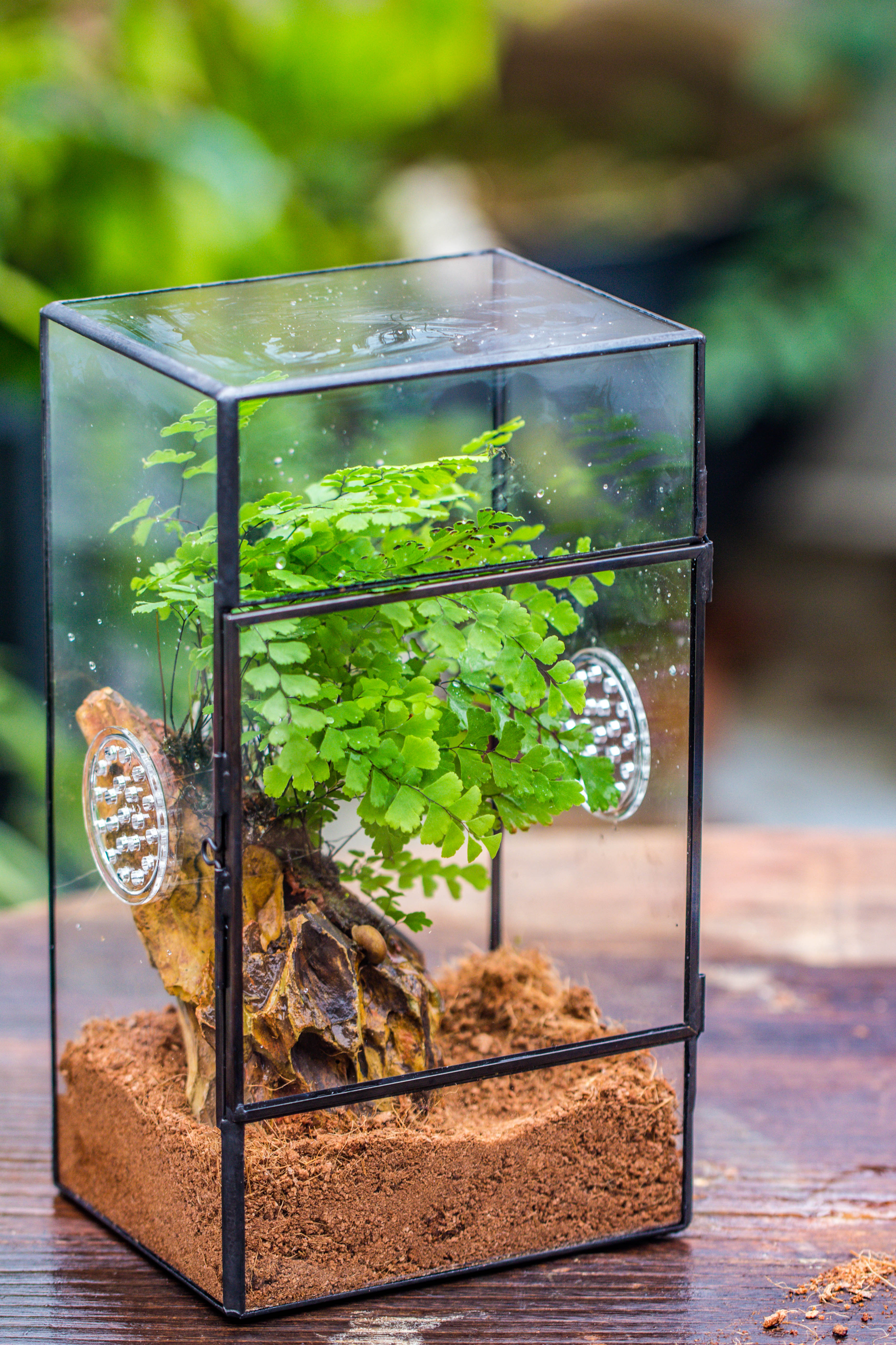 NCYP Rectangle Tin and Glass Geometric Terrarium,  with side door,  with Mesh  / vent holes for small Insects Pet - NCYPgarden