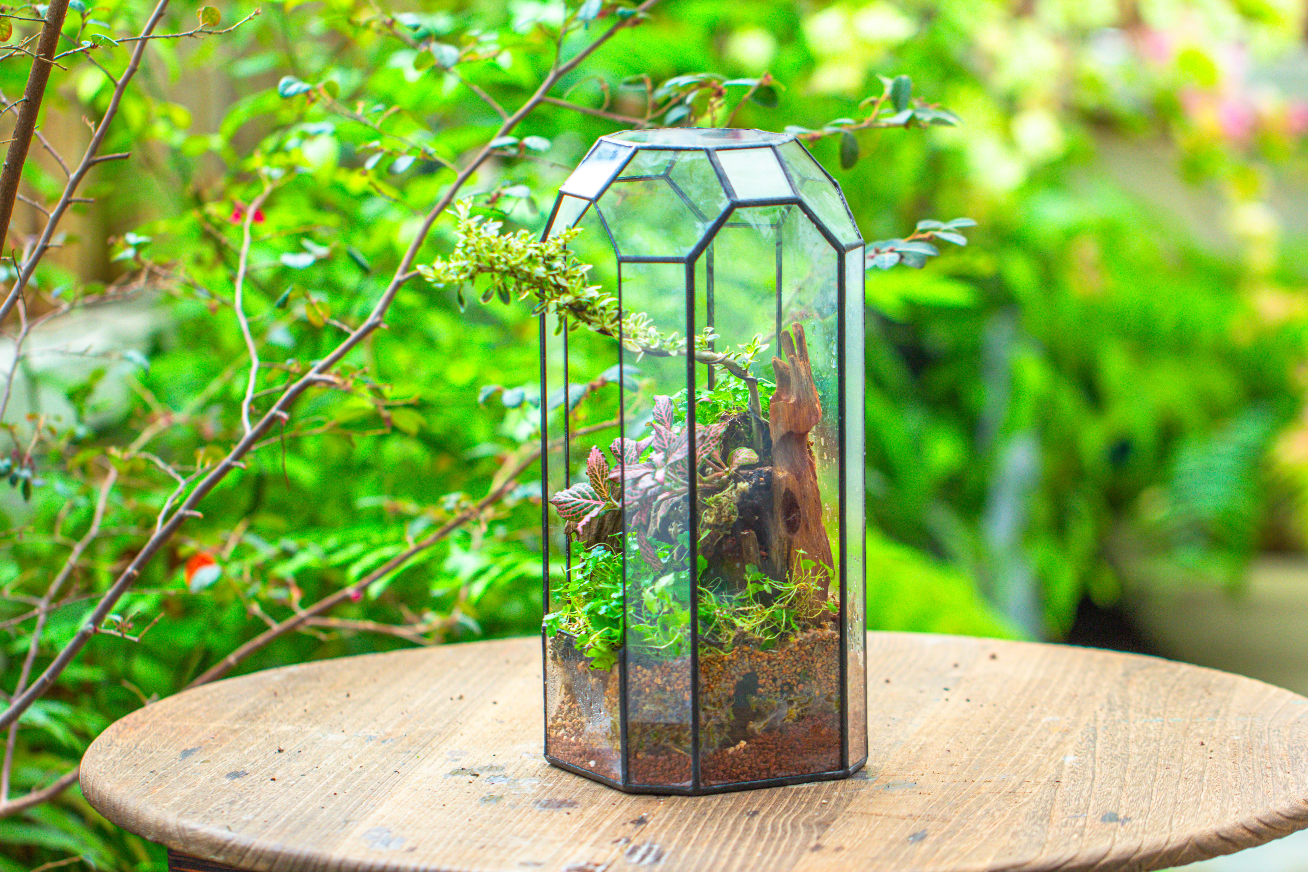 Vintage Tall Octagon Geometric Tin Glass Terrarium , 12.6" , open, suitable for tall plants, orchid, small begonia Pitcher, Micro landscape - NCYPgarden