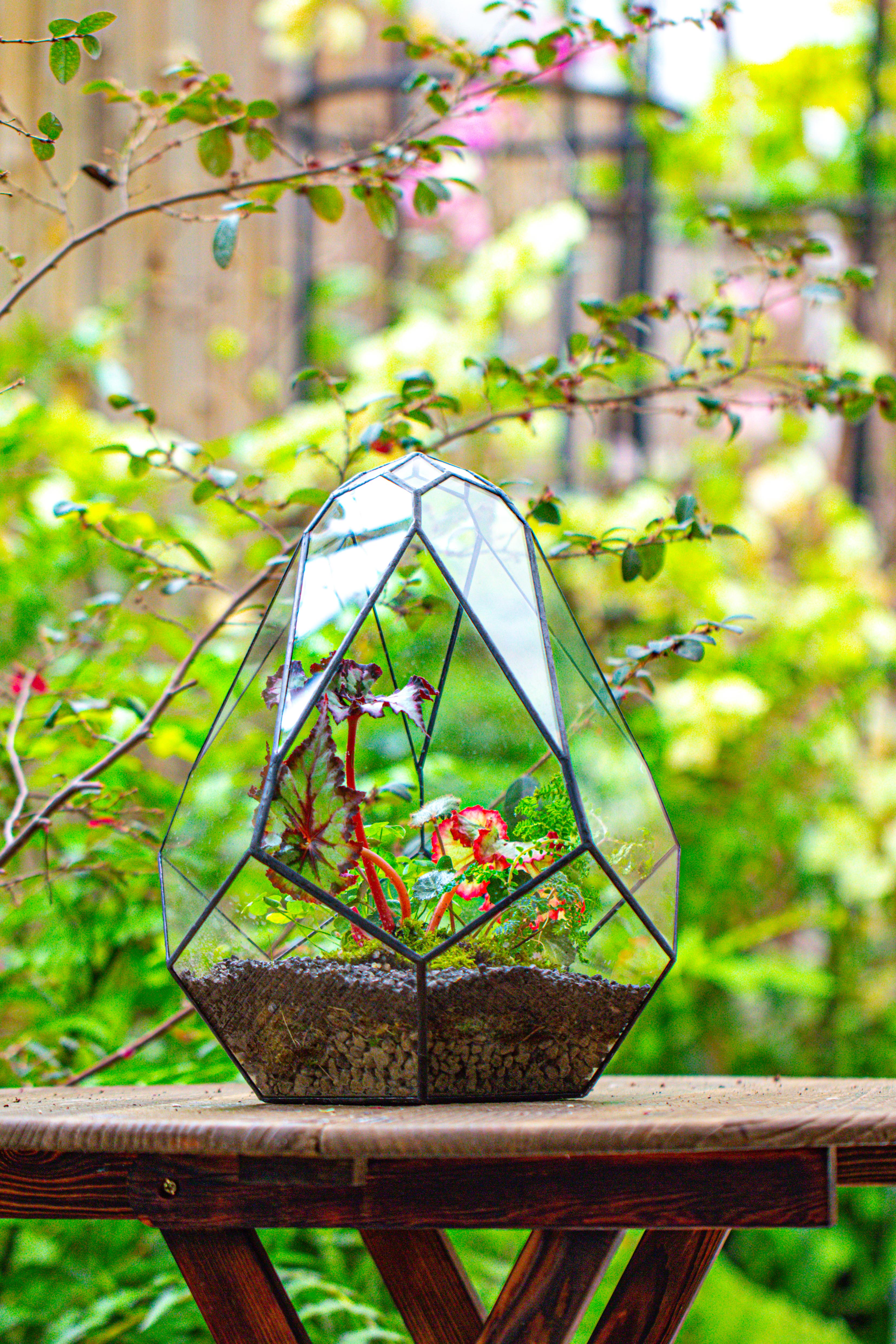 13" Large Teardrop Geometric Terrarium, Open - NCYPgarden