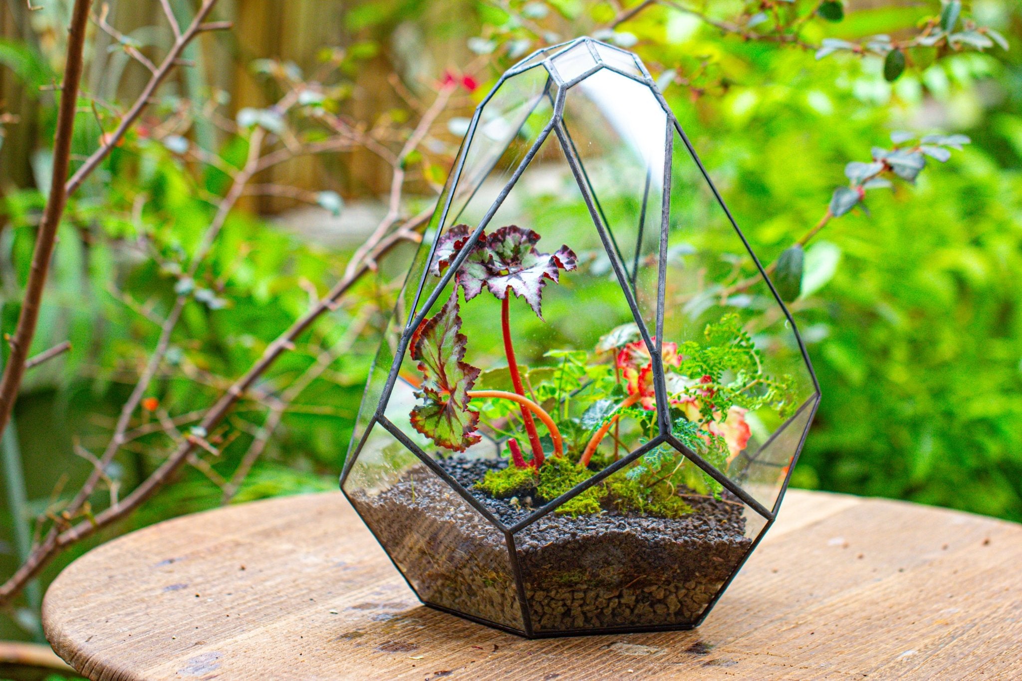open plant terrarium 13" Large Teardrop Geometric Terrarium, Open PG06A2