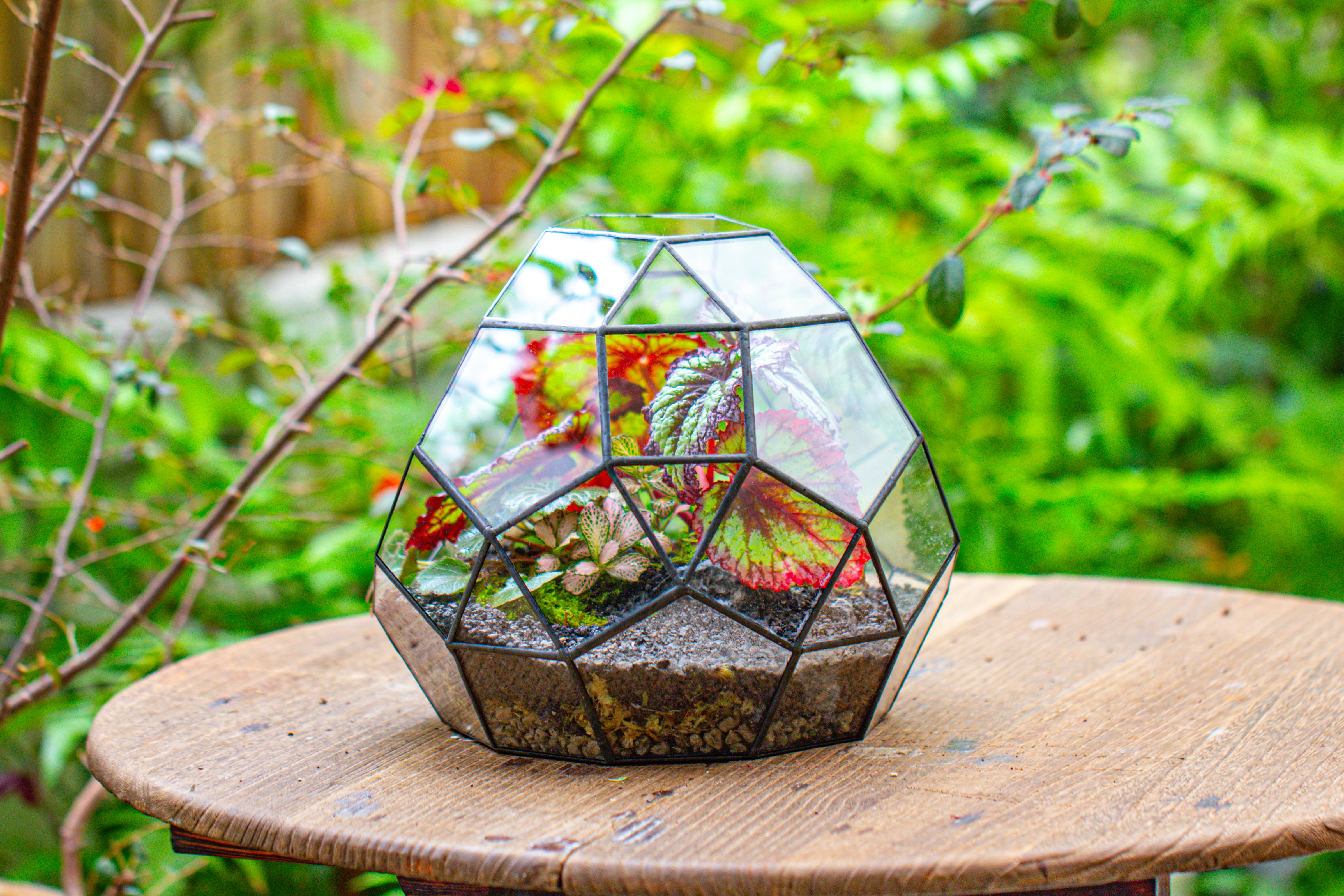 Glass Geometric Moon Terrarium,  Open - NCYPgarden