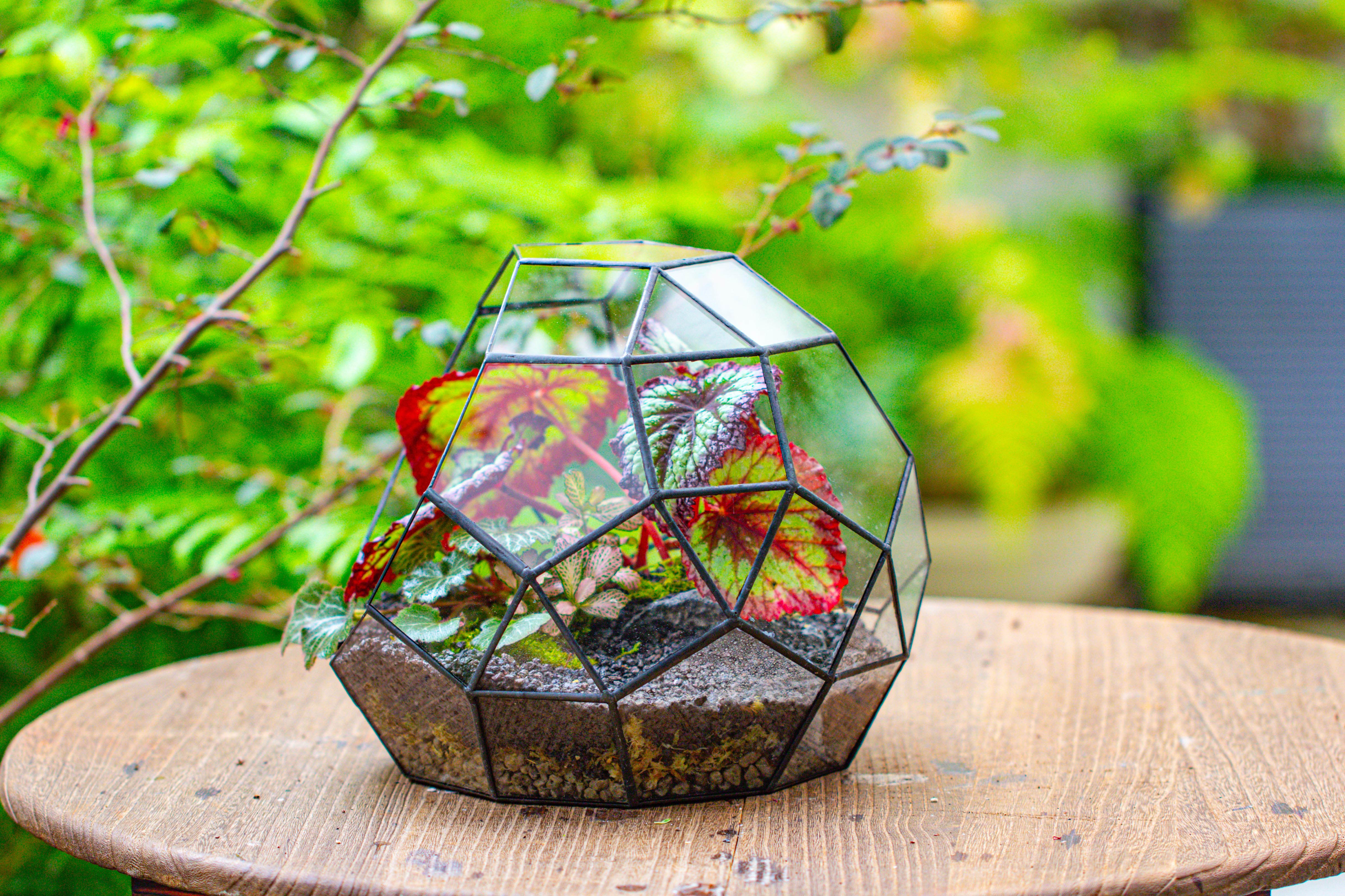 Glass Geometric Moon Terrarium,  Open - NCYPgarden