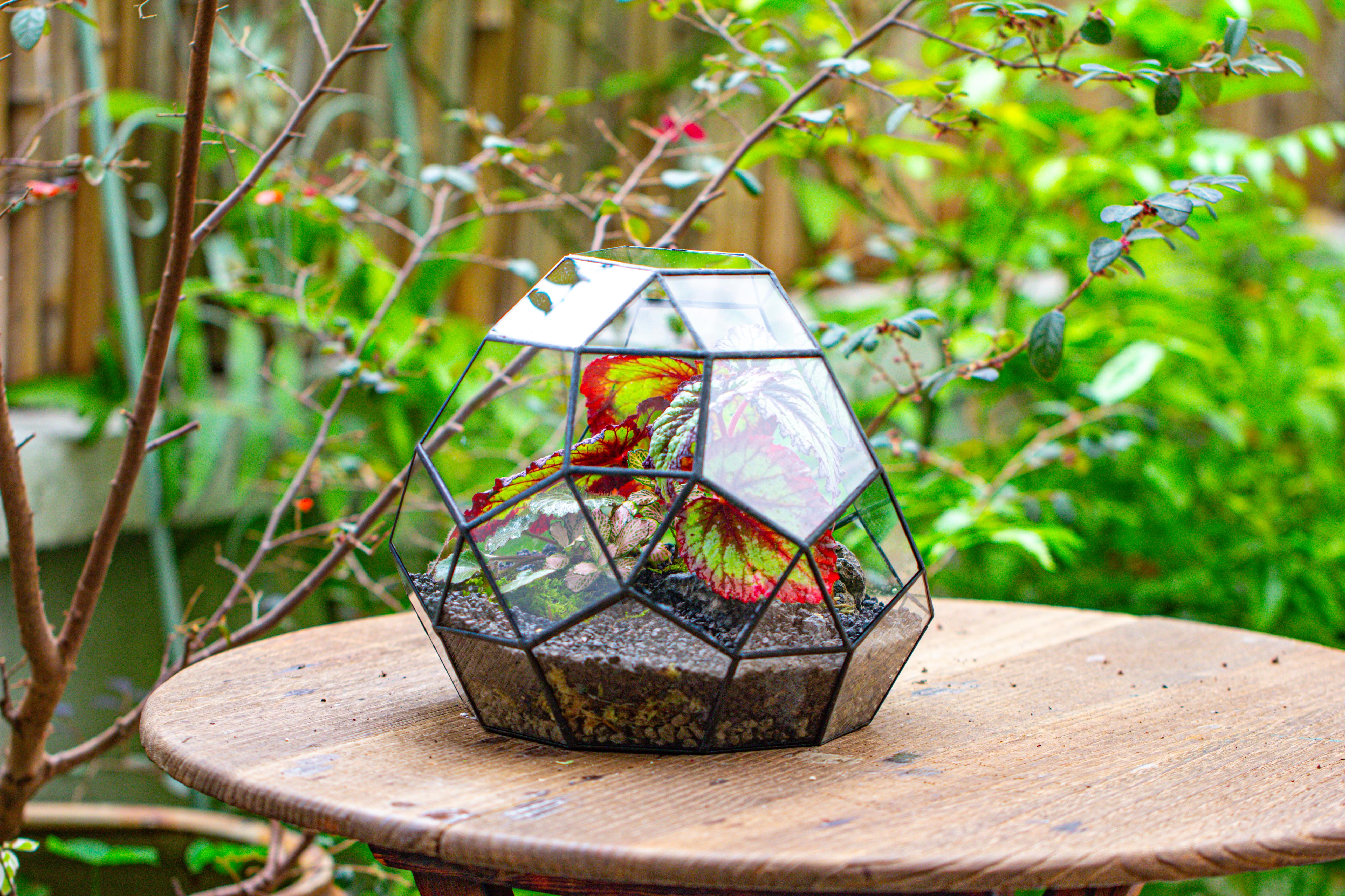 Glass Geometric Moon Terrarium,  Open - NCYPgarden