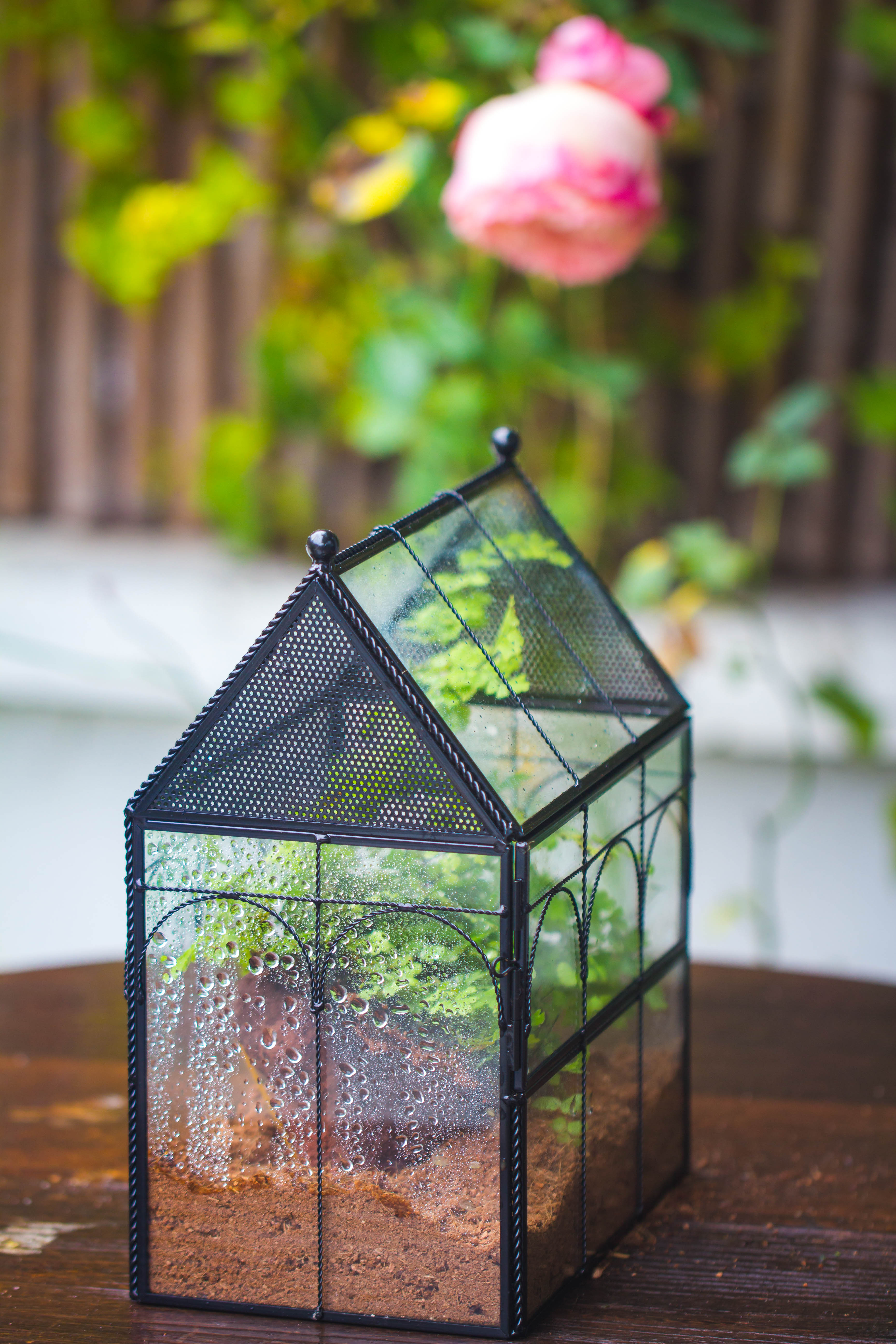 NCYP Vintage House Shape Tin and Glass Geometric Terrarium, with side door, with Mesh / vent holes for small Insects Pet - NCYPgarden