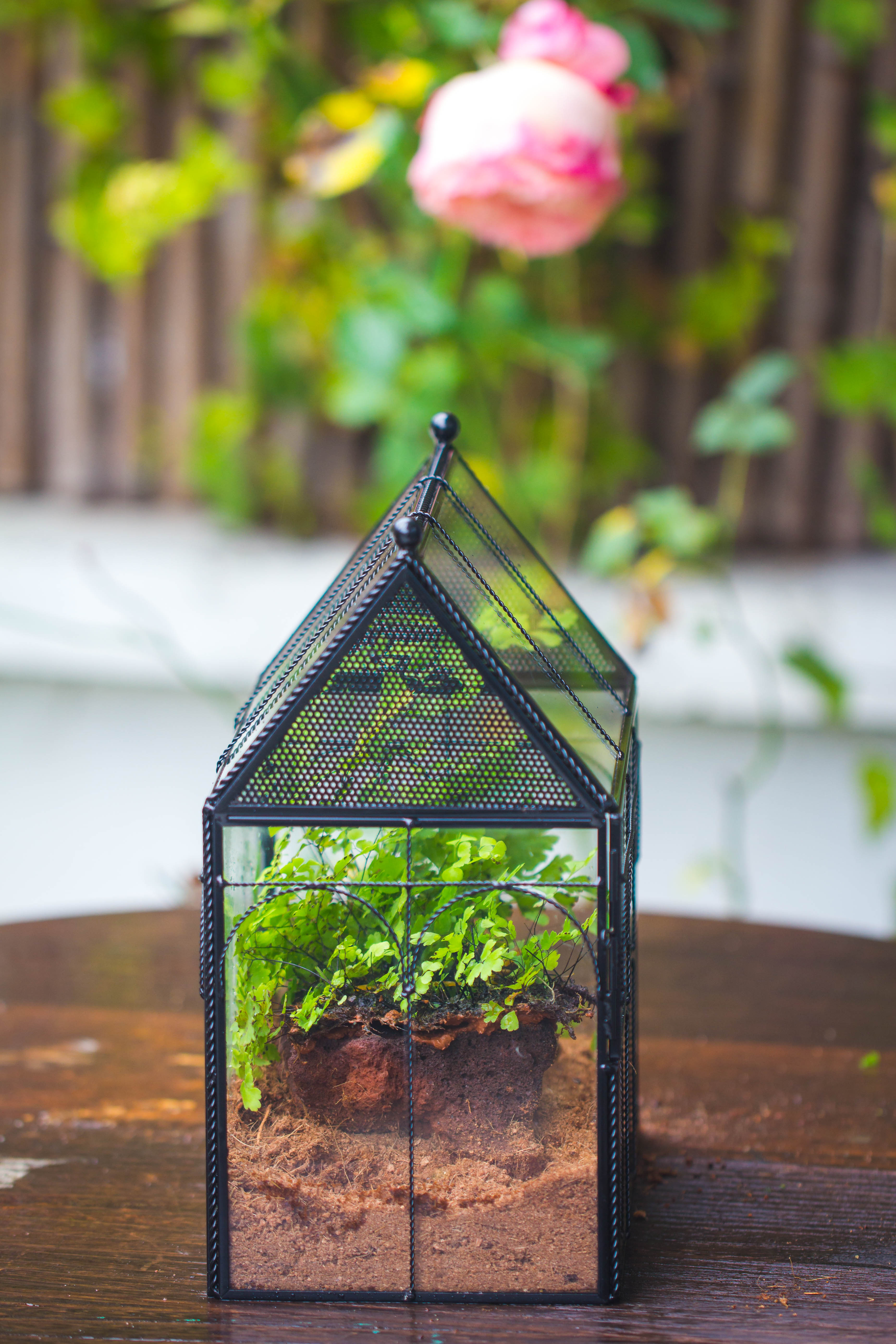 NCYP Vintage House Shape Tin and Glass Geometric Terrarium, with side door, with Mesh / vent holes for small Insects Pet - NCYPgarden