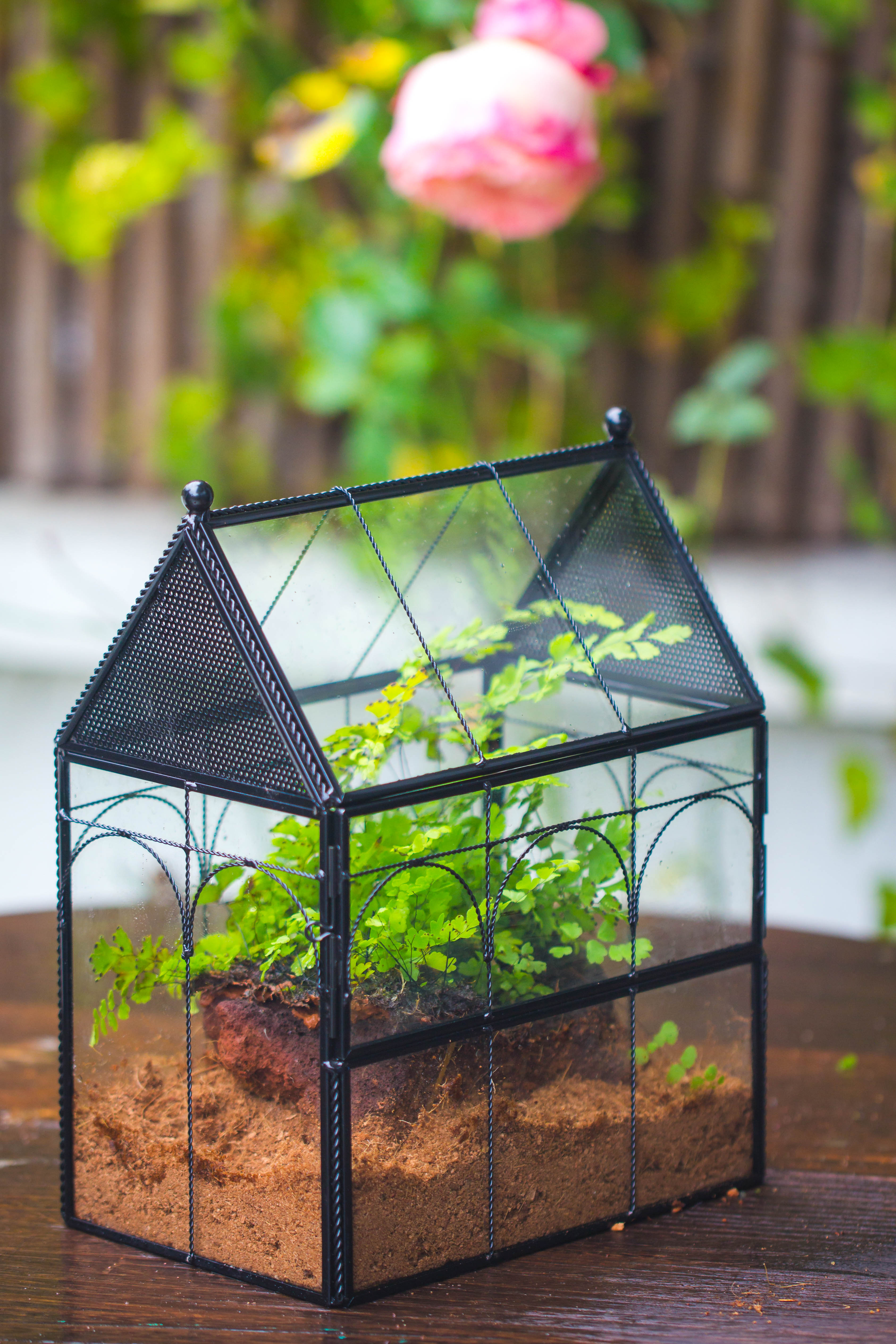 NCYP Vintage House Shape Tin and Glass Geometric Terrarium, with side door, with Mesh / vent holes for small Insects Pet - NCYPgarden