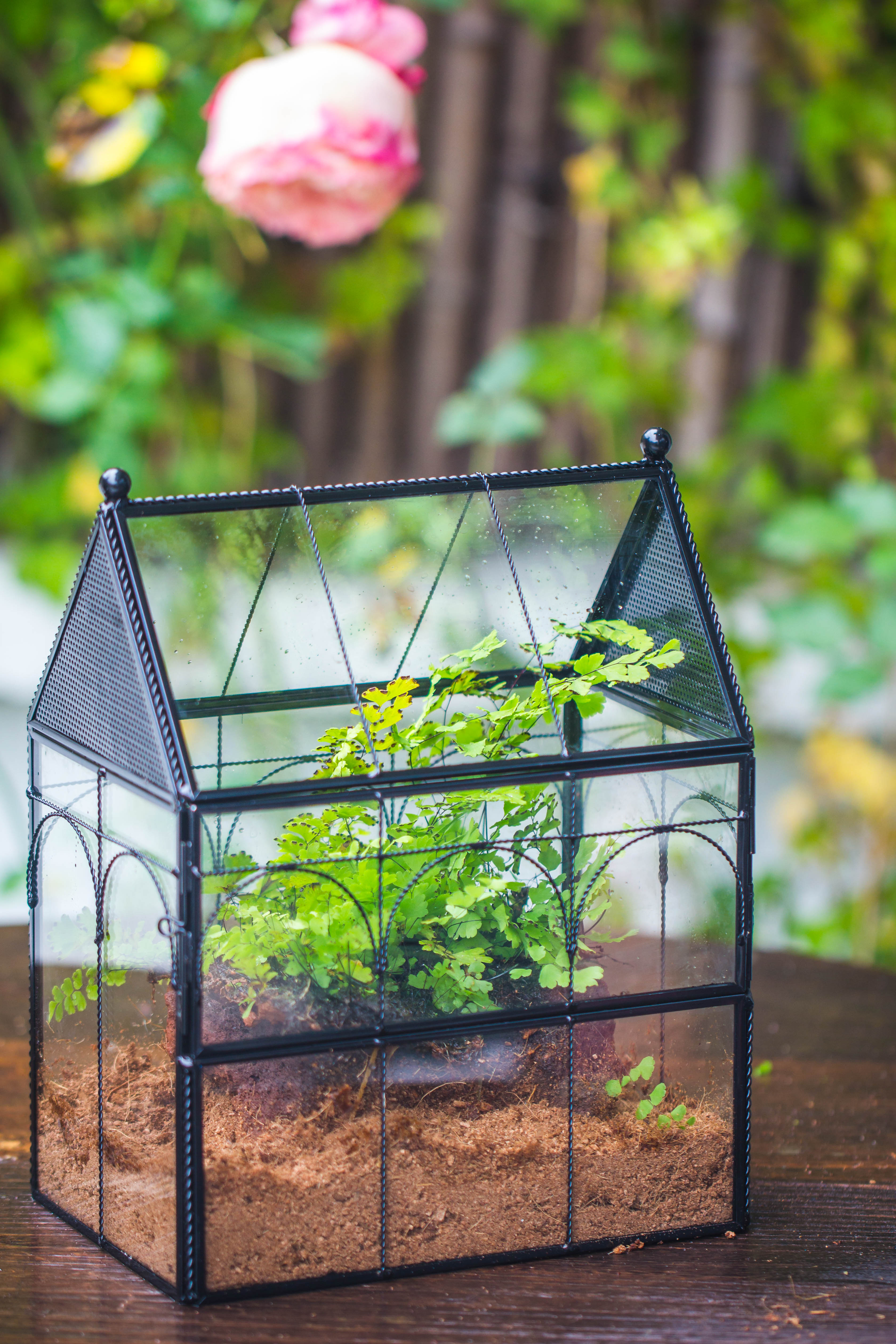 NCYP Vintage House Shape Tin and Glass Geometric Terrarium, with side door, with Mesh / vent holes for small Insects Pet - NCYPgarden