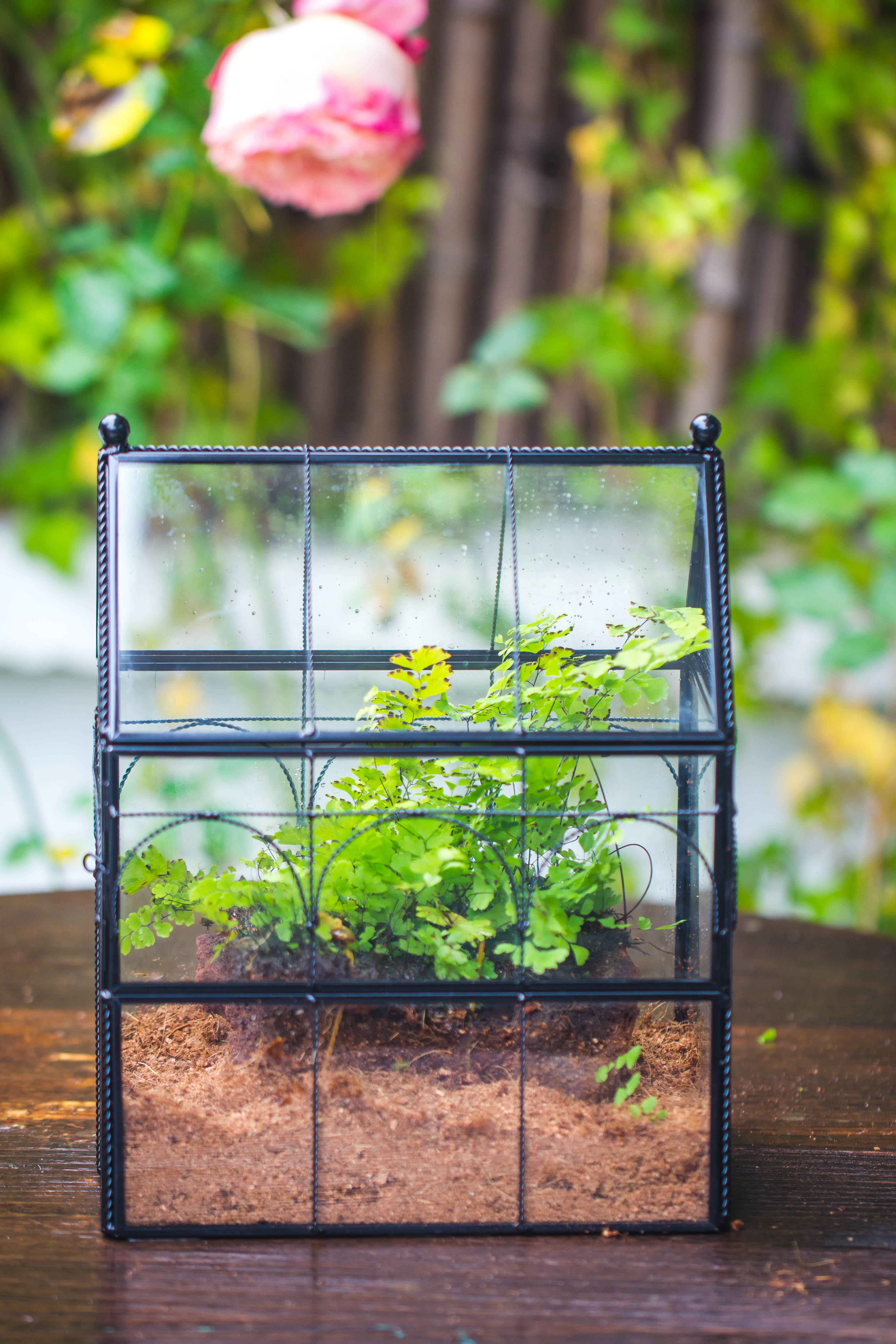 NCYP Vintage House Shape Tin and Glass Geometric Terrarium, with side door, with Mesh / vent holes for small Insects Pet - NCYPgarden