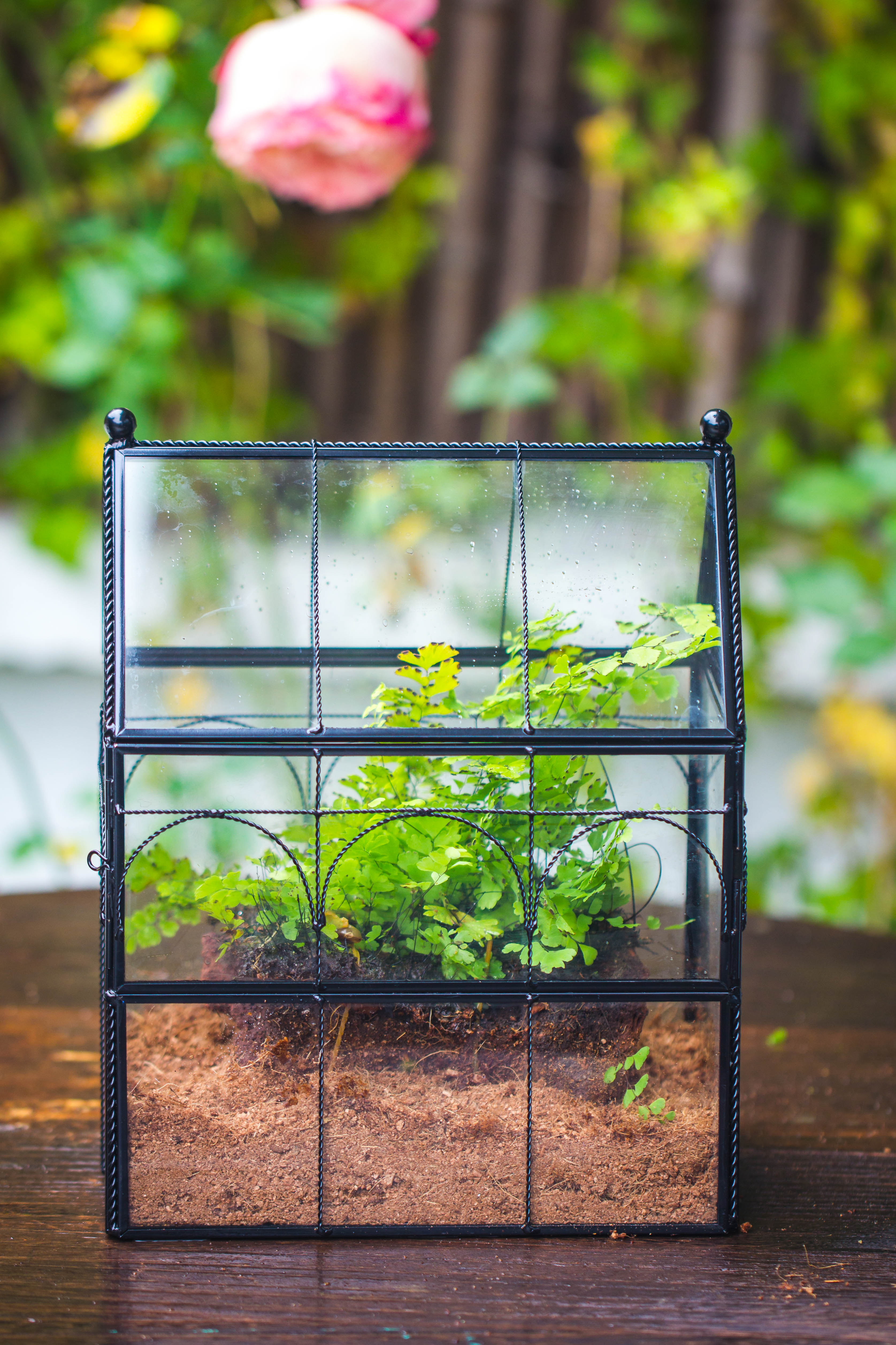 NCYP Vintage House Shape Tin and Glass Geometric Terrarium, with side door, with Mesh / vent holes for small Insects Pet - NCYPgarden