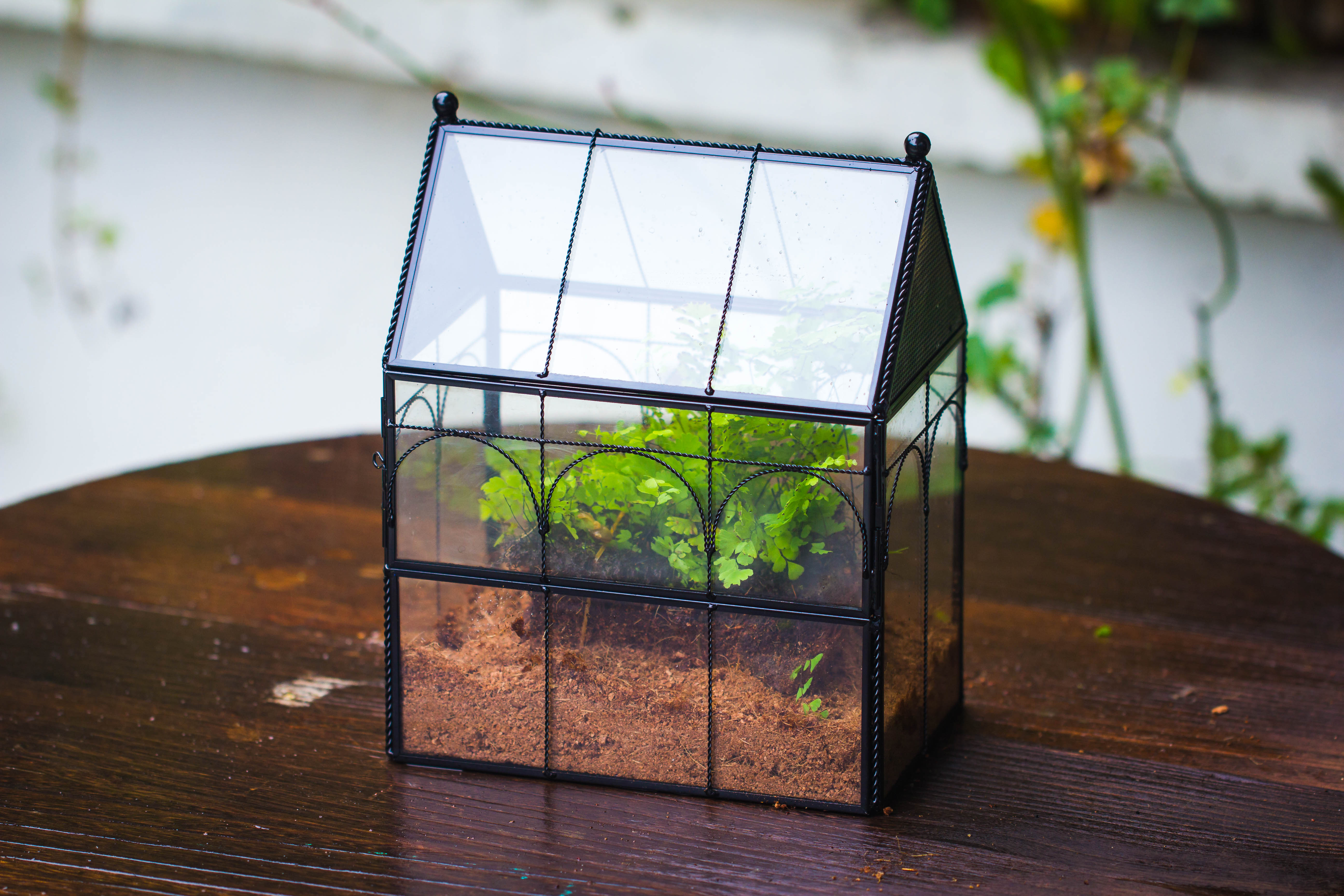 NCYP Vintage House Shape Tin and Glass Geometric Terrarium, with side door, with Mesh / vent holes for small Insects Pet - NCYPgarden