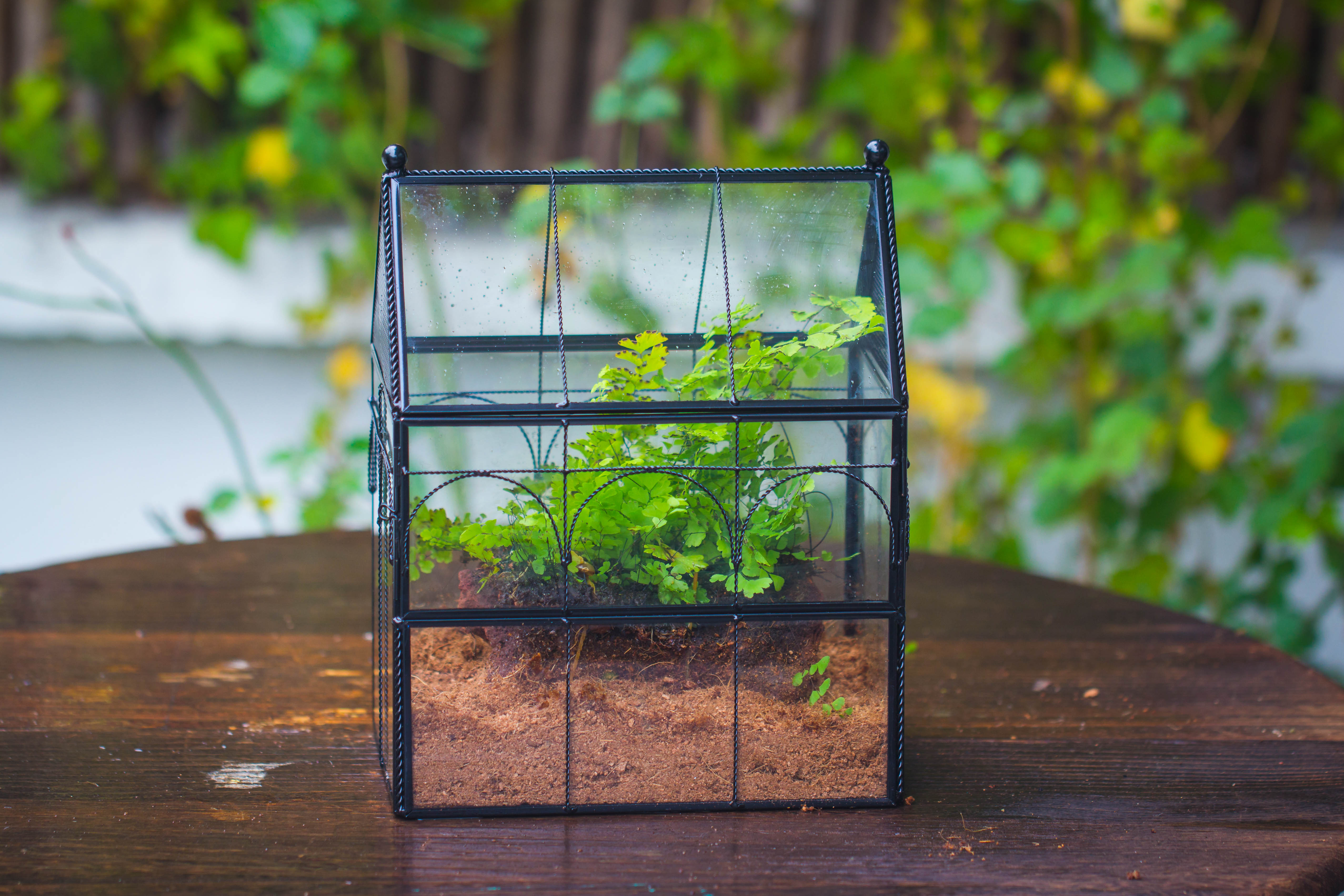 NCYP Vintage House Shape Tin and Glass Geometric Terrarium, with side door, with Mesh / vent holes for small Insects Pet - NCYPgarden