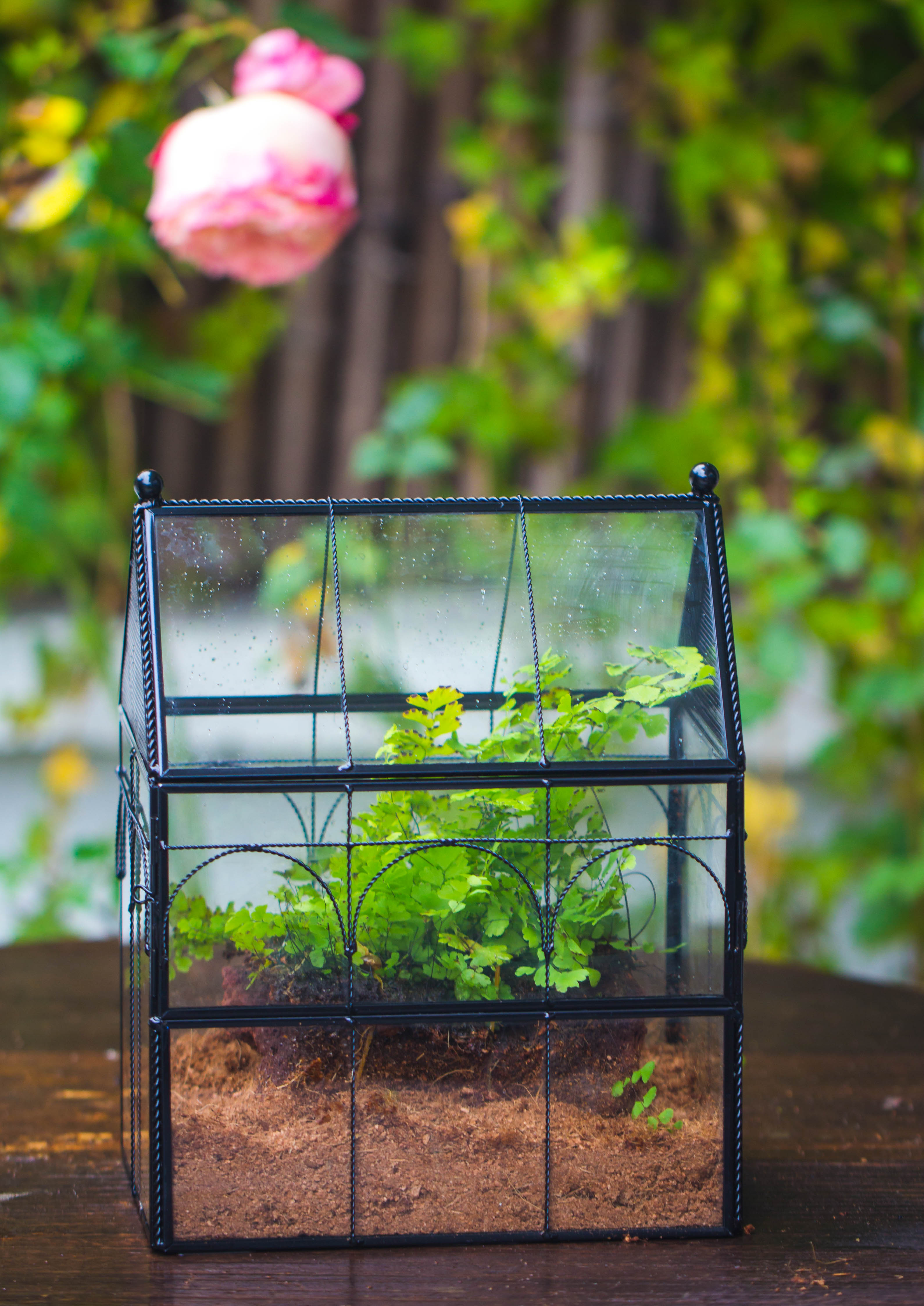 NCYP Vintage House Shape Tin and Glass Geometric Terrarium, with side door, with Mesh / vent holes for small Insects Pet - NCYPgarden