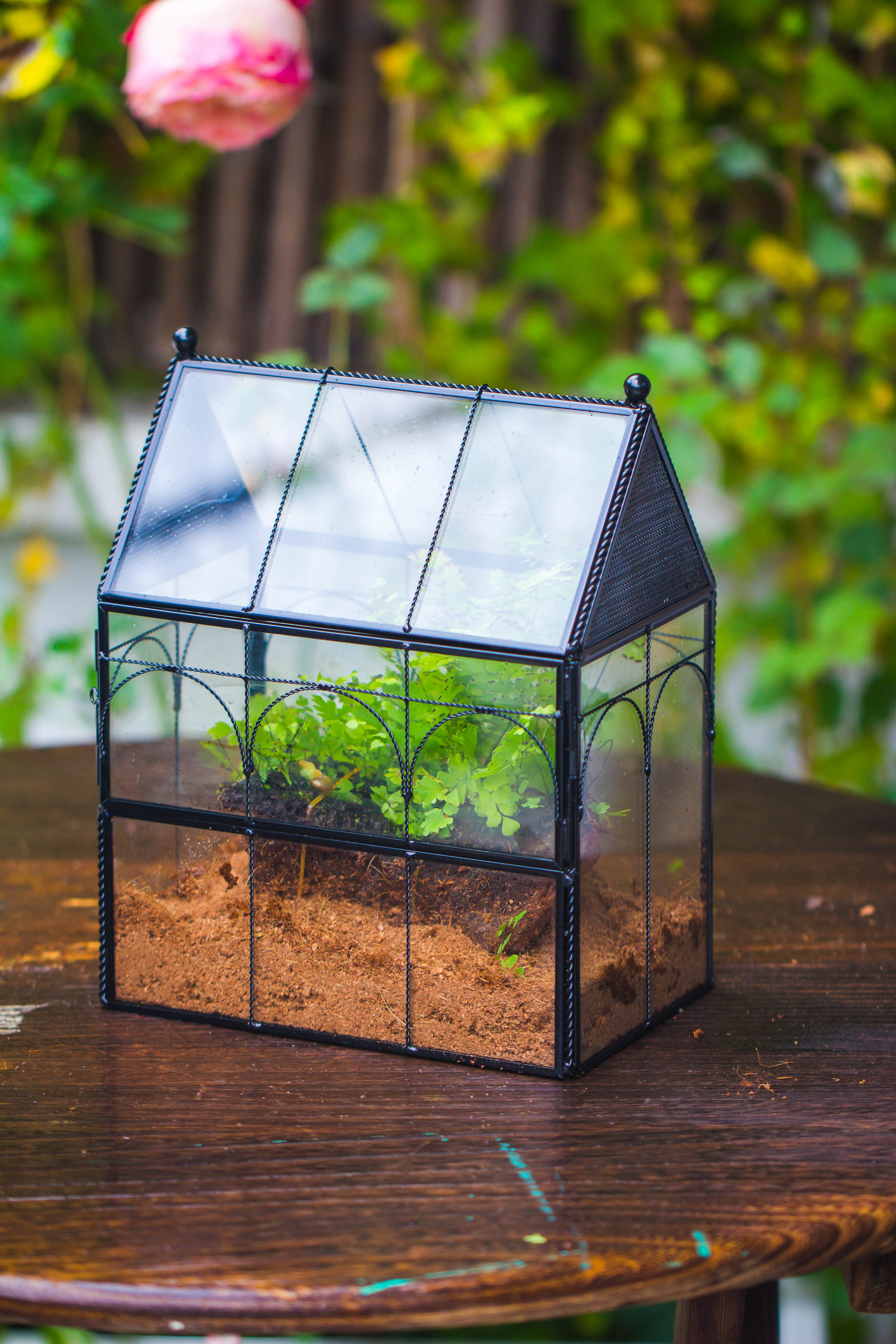 NCYP Vintage House Shape Tin and Glass Geometric Terrarium, with side door, with Mesh / vent holes for small Insects Pet - NCYPgarden