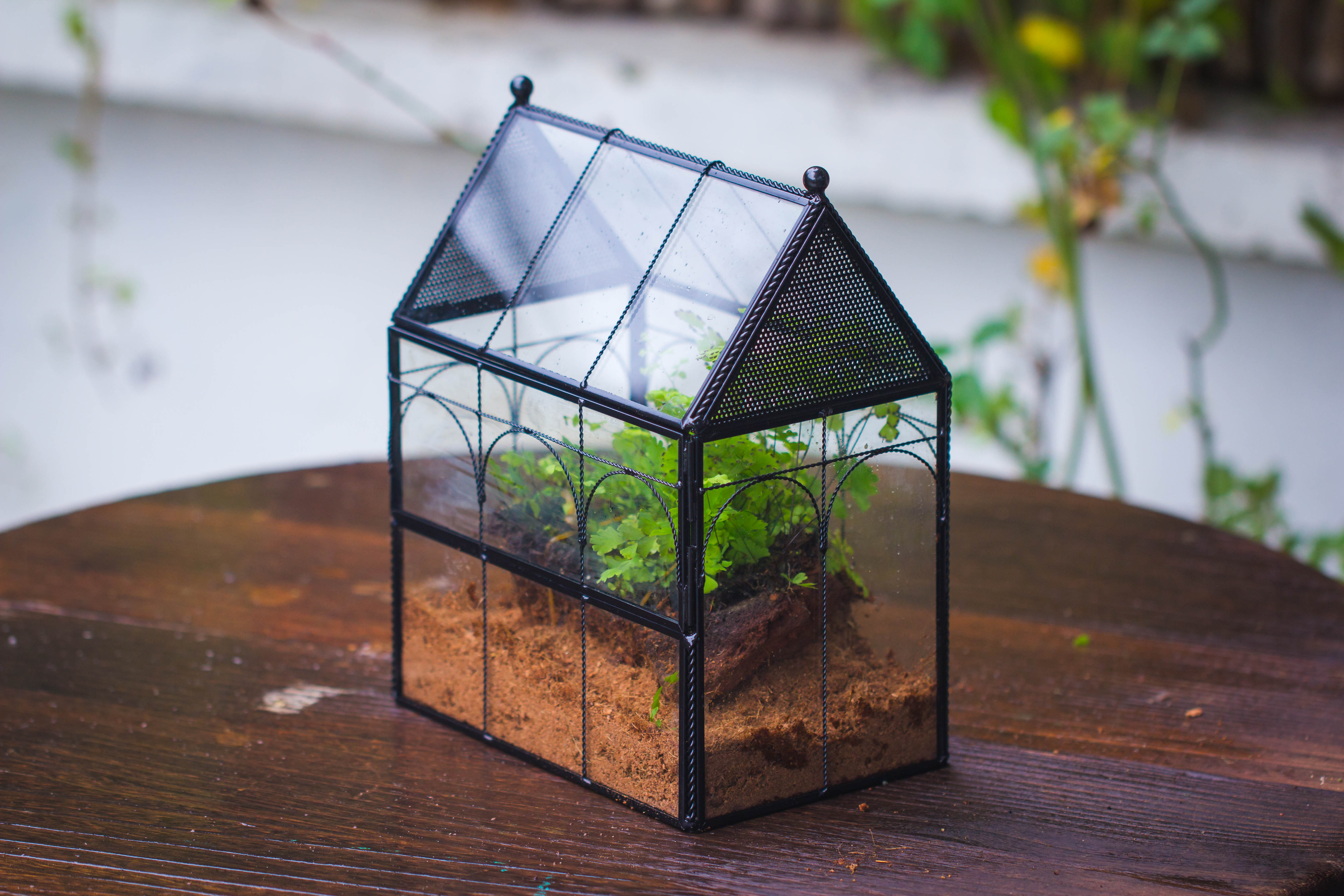 NCYP Vintage House Shape Tin and Glass Geometric Terrarium, with side door, with Mesh / vent holes for small Insects Pet - NCYPgarden
