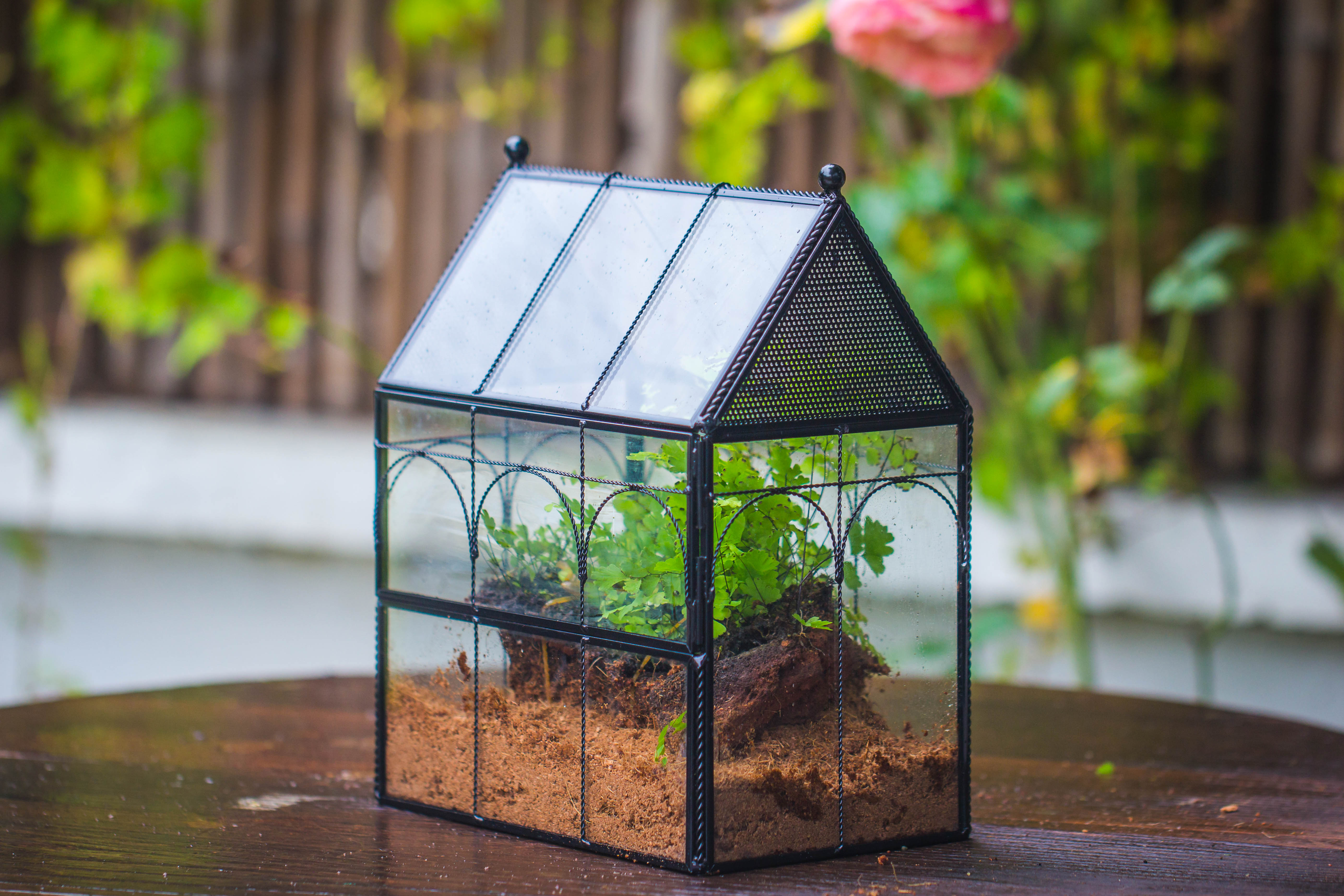 NCYP Vintage House Shape Tin and Glass Geometric Terrarium, with side door, with Mesh / vent holes for small Insects Pet - NCYPgarden
