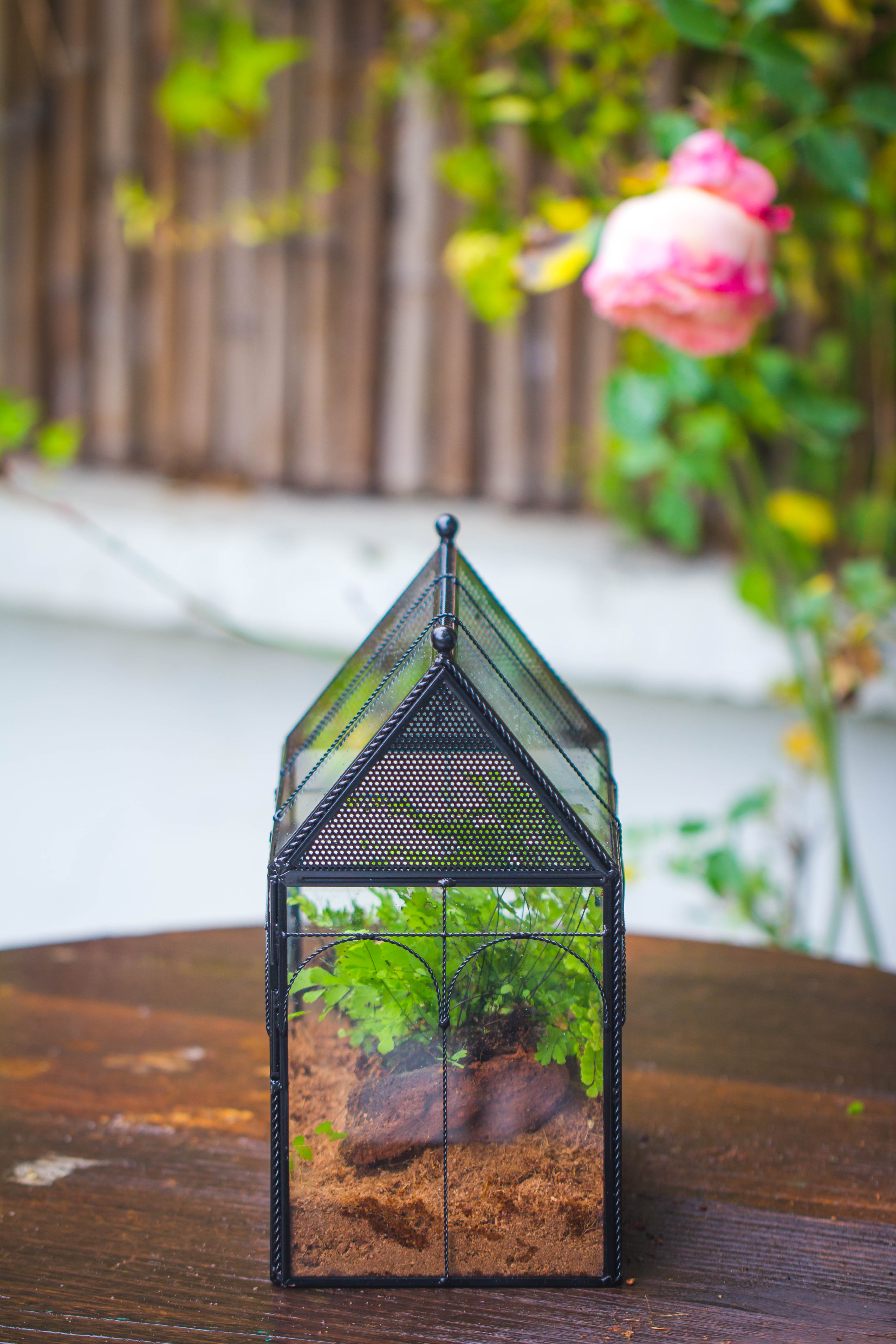 NCYP Vintage House Shape Tin and Glass Geometric Terrarium, with side door, with Mesh / vent holes for small Insects Pet - NCYPgarden