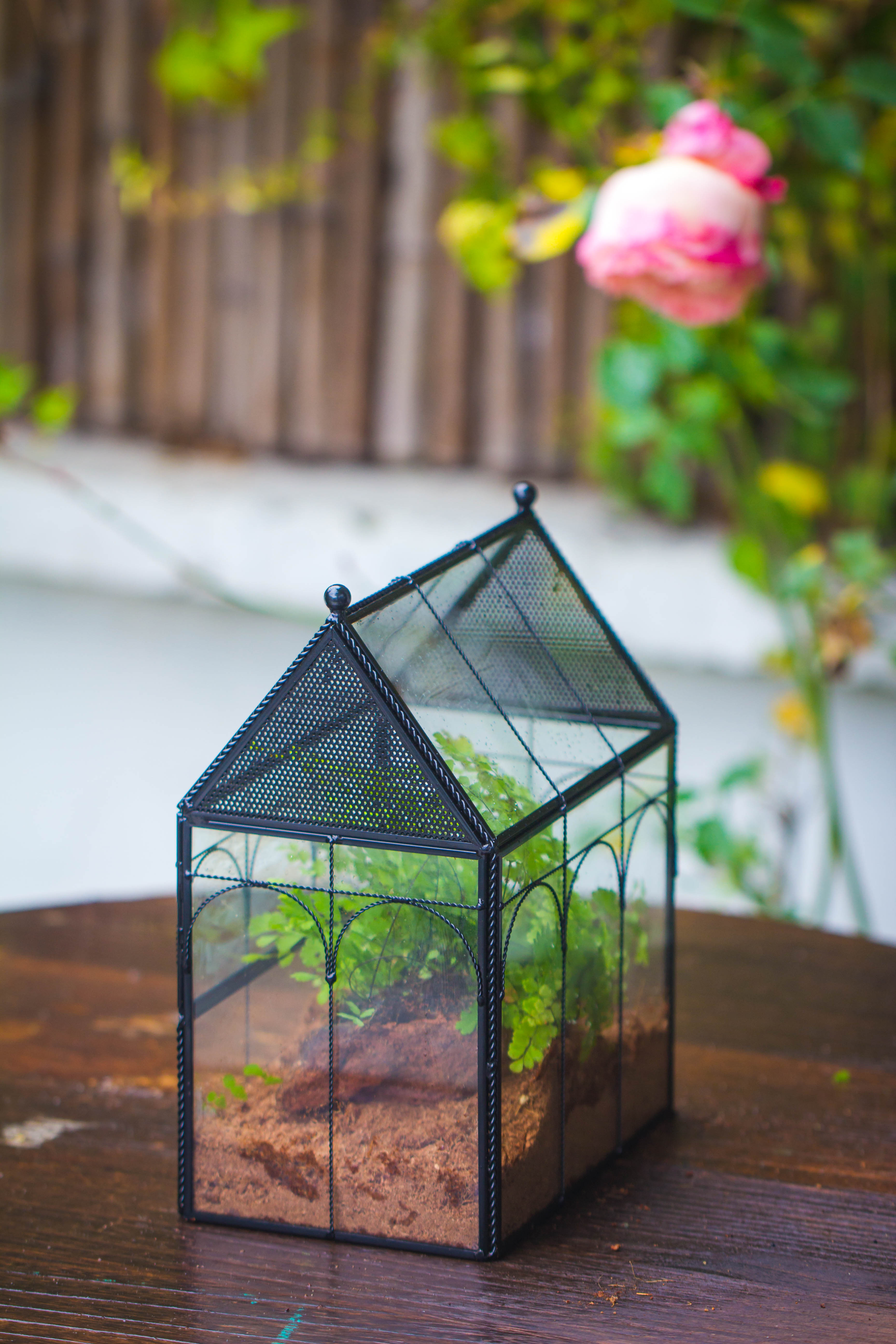 NCYP Vintage House Shape Tin and Glass Geometric Terrarium, with side door, with Mesh / vent holes for small Insects Pet - NCYPgarden