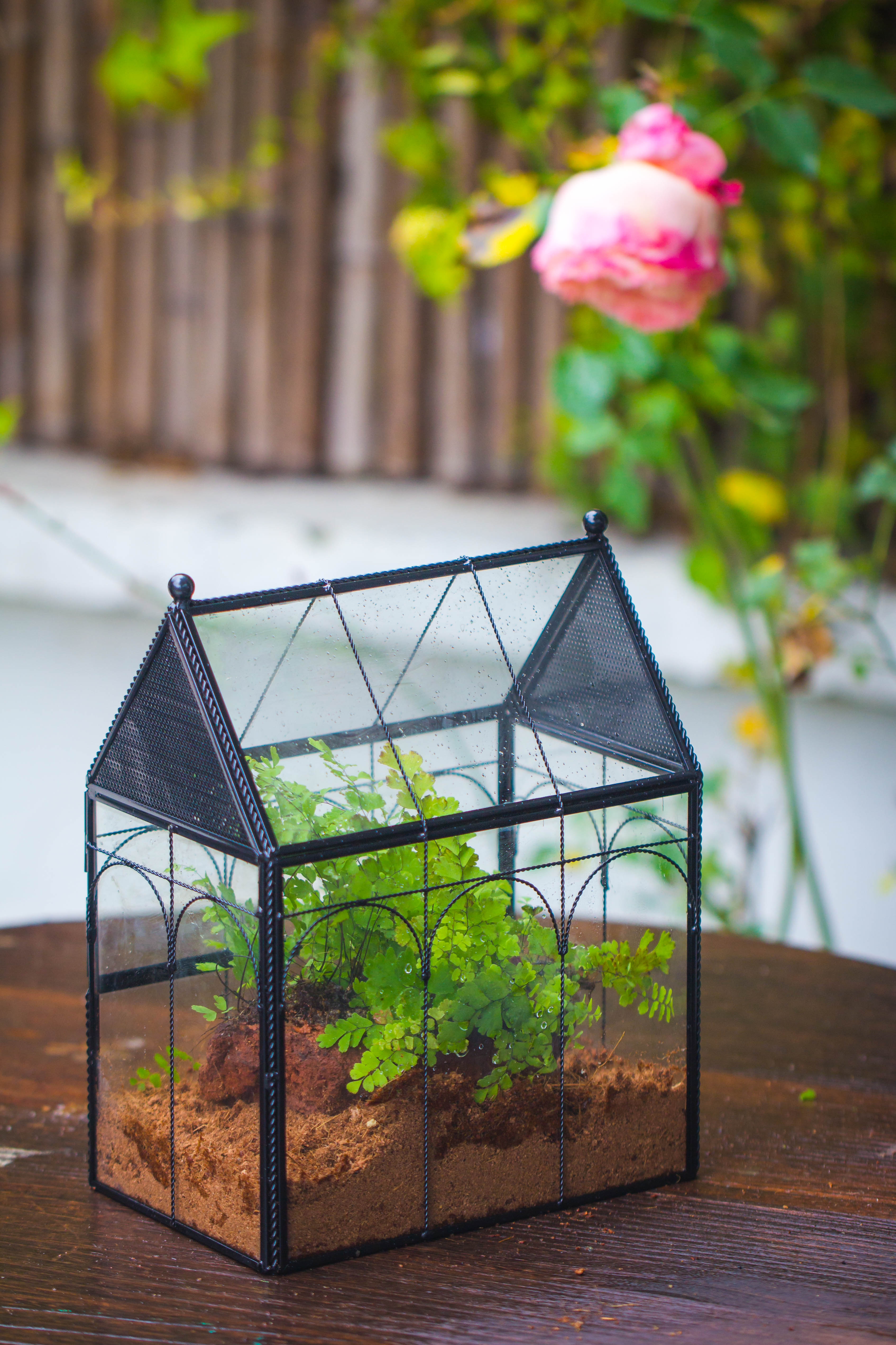 NCYP Vintage House Shape Tin and Glass Geometric Terrarium, with side door, with Mesh / vent holes for small Insects Pet - NCYPgarden