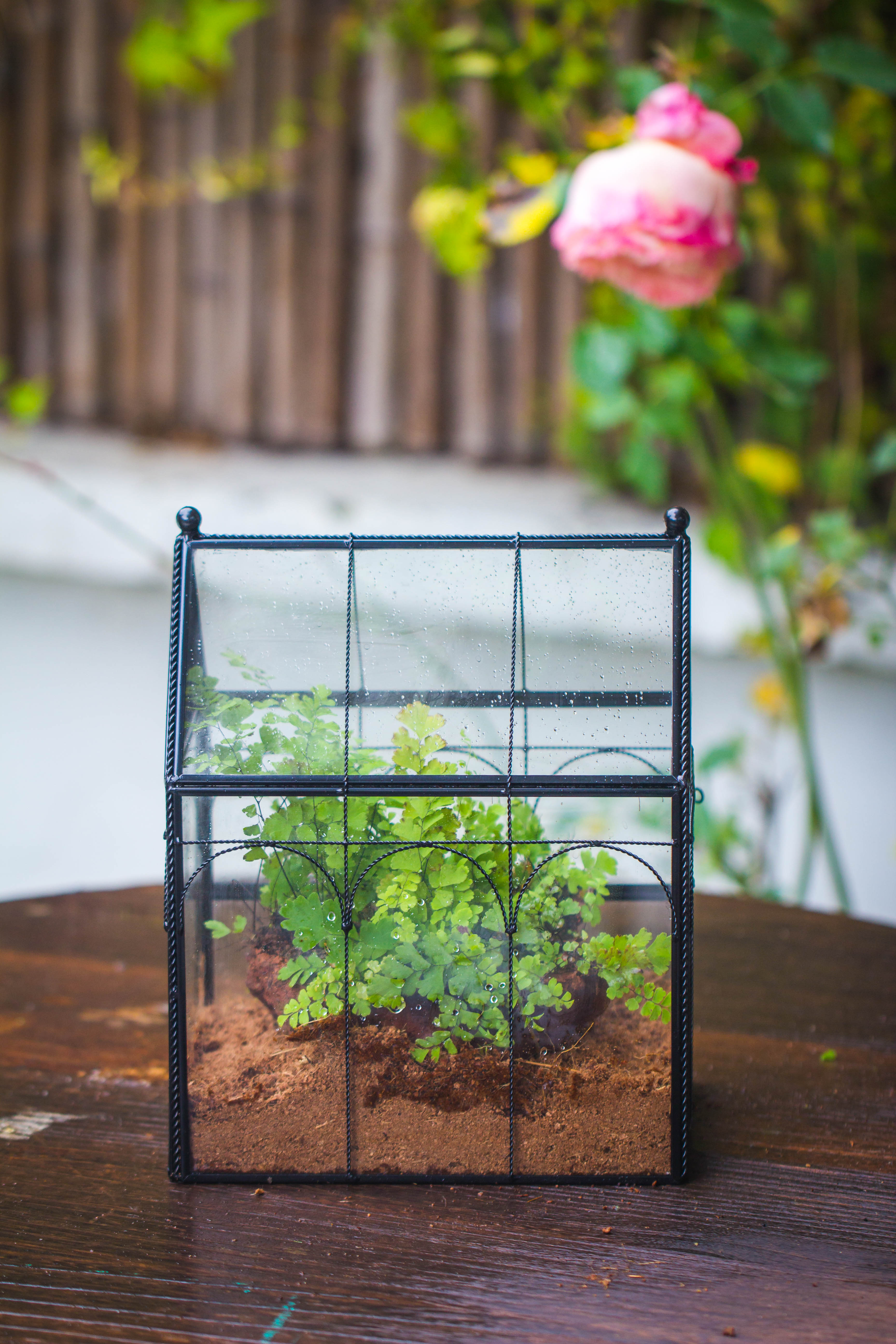 NCYP Vintage House Shape Tin and Glass Geometric Terrarium, with side door, with Mesh / vent holes for small Insects Pet - NCYPgarden