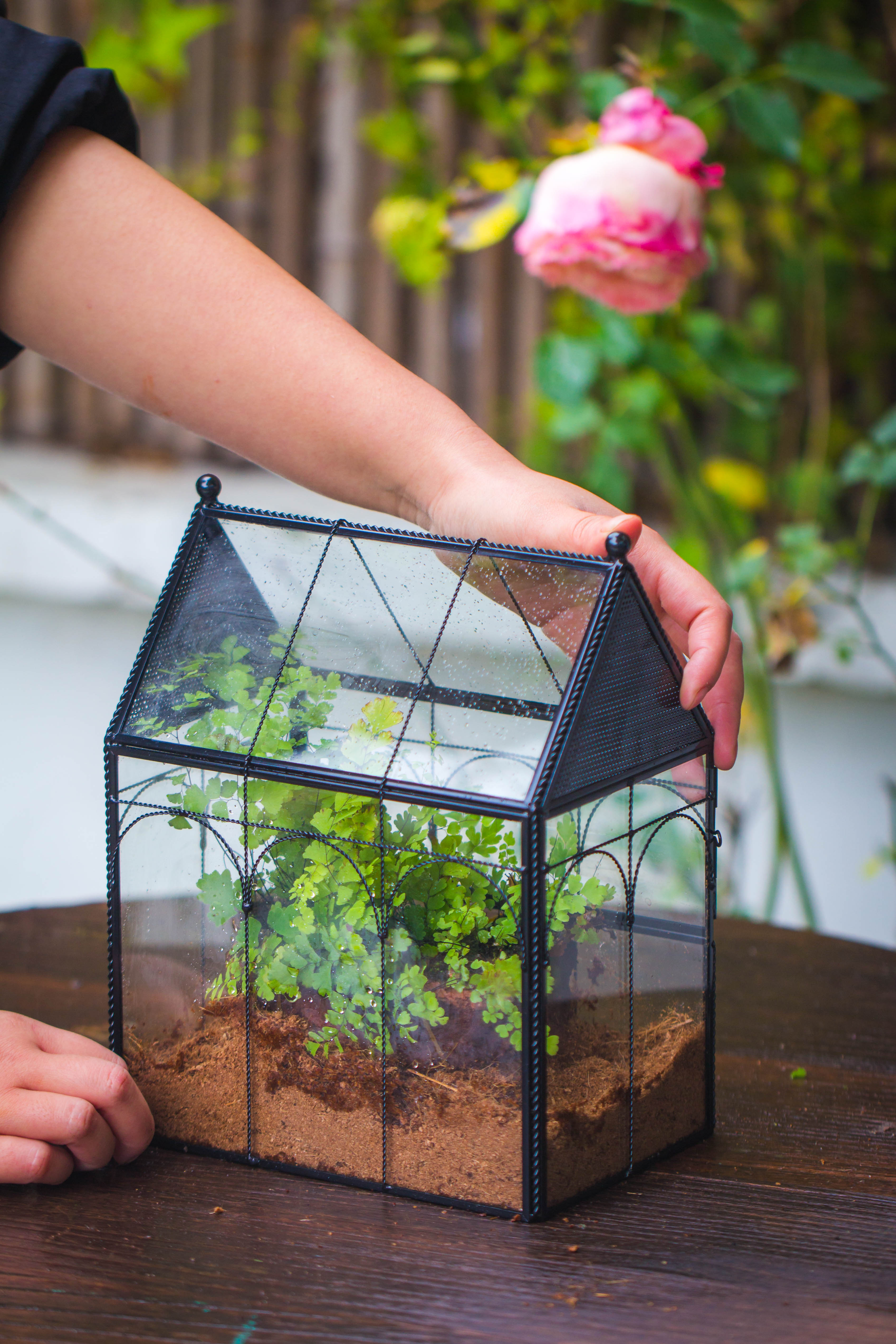 NCYP Vintage House Shape Tin and Glass Geometric Terrarium, with side door, with Mesh / vent holes for small Insects Pet - NCYPgarden