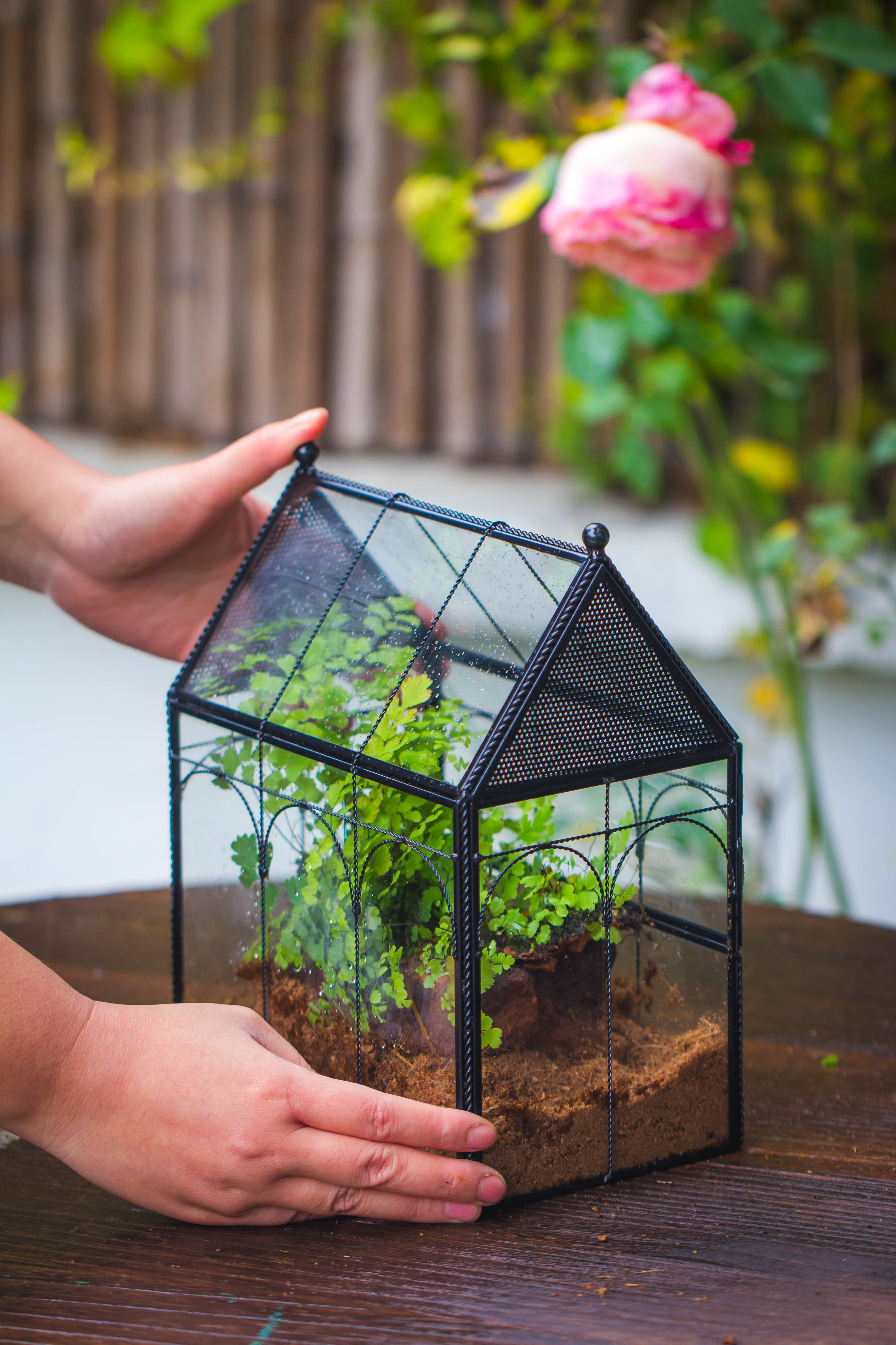 NCYP Vintage House Shape Tin and Glass Geometric Terrarium, with side door, with Mesh / vent holes for small Insects Pet - NCYPgarden
